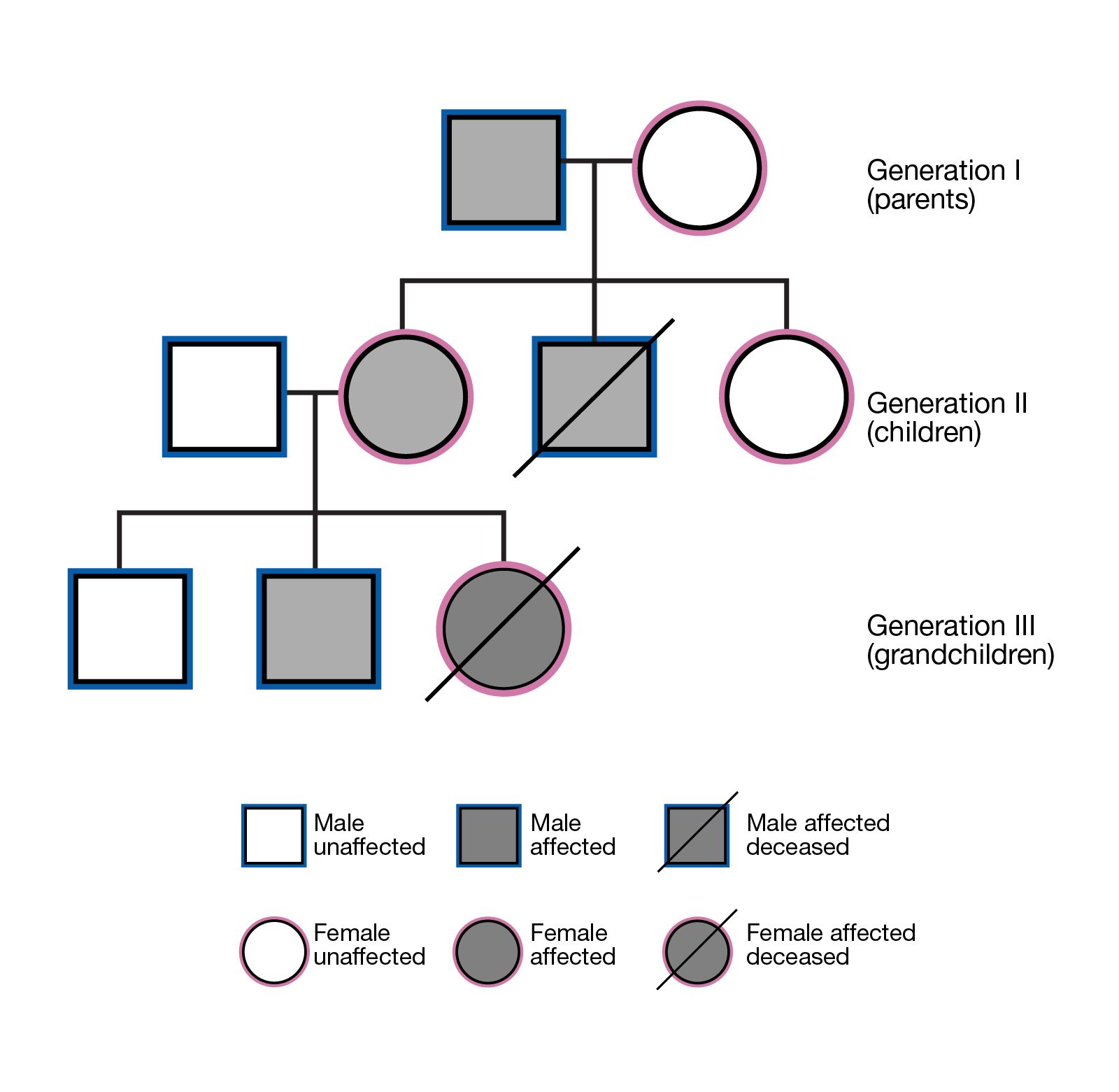 Caption: a family tree showing three generations that includes visual indications of related traits passed between each generation