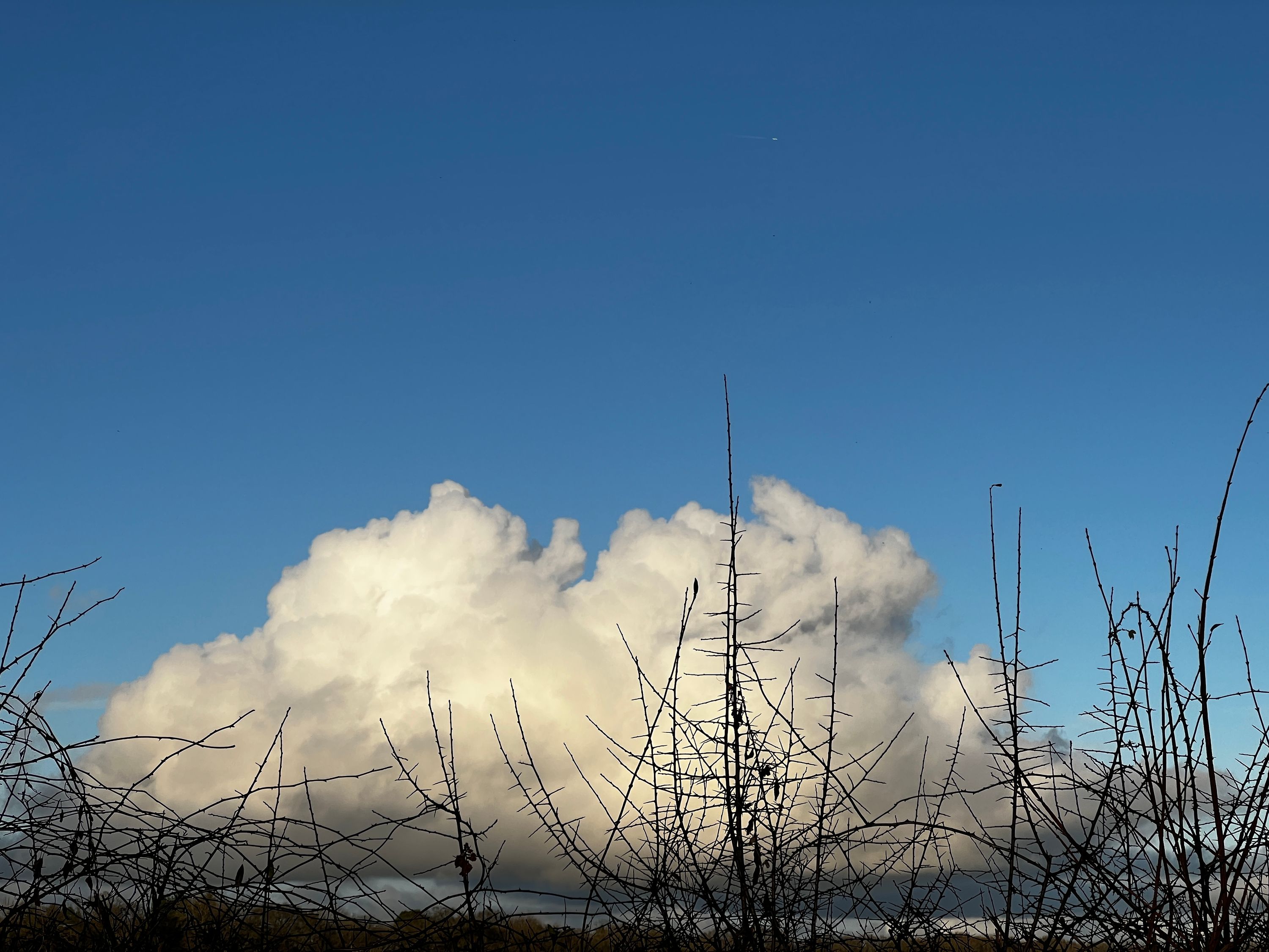 Moody cloud over Tellisford