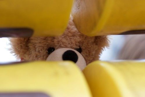 Teddy hiding at the play park