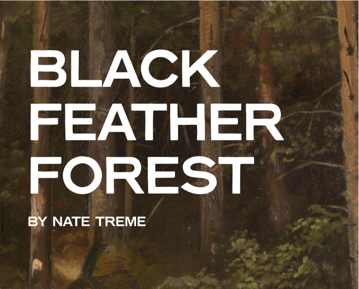 Black Feather Forest