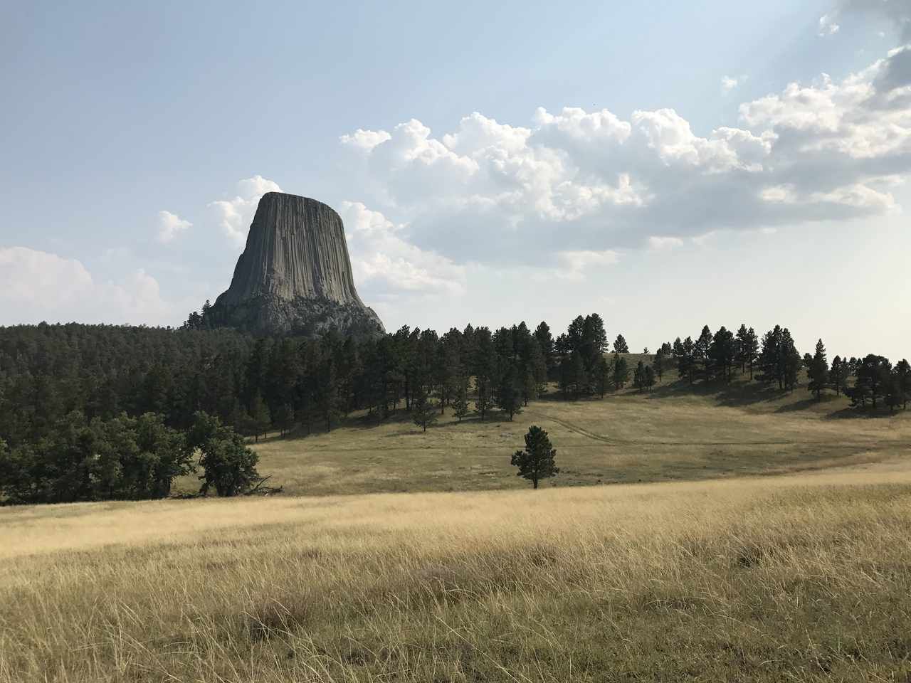 View from the trail at Devil's Tower in Wyoming