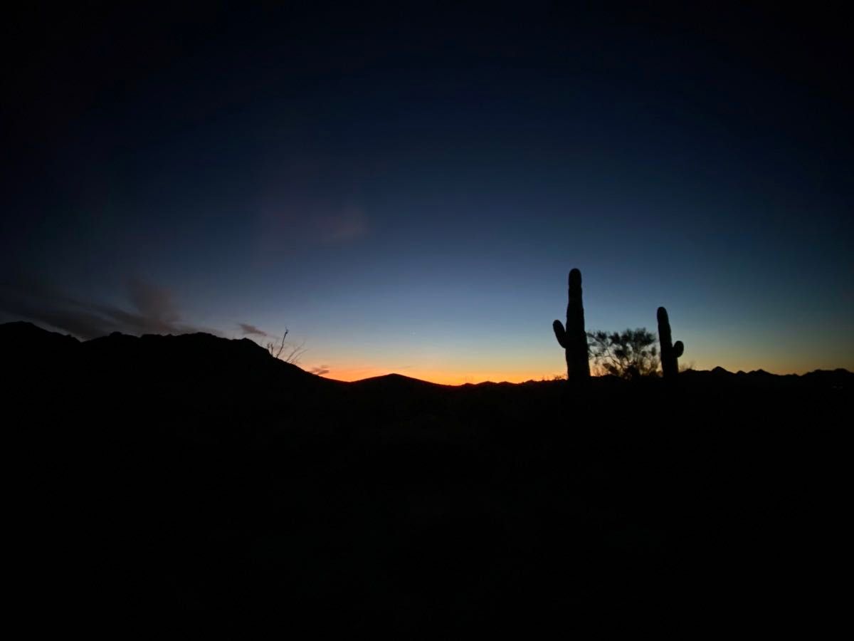 Silhouettes of an Arizona desert