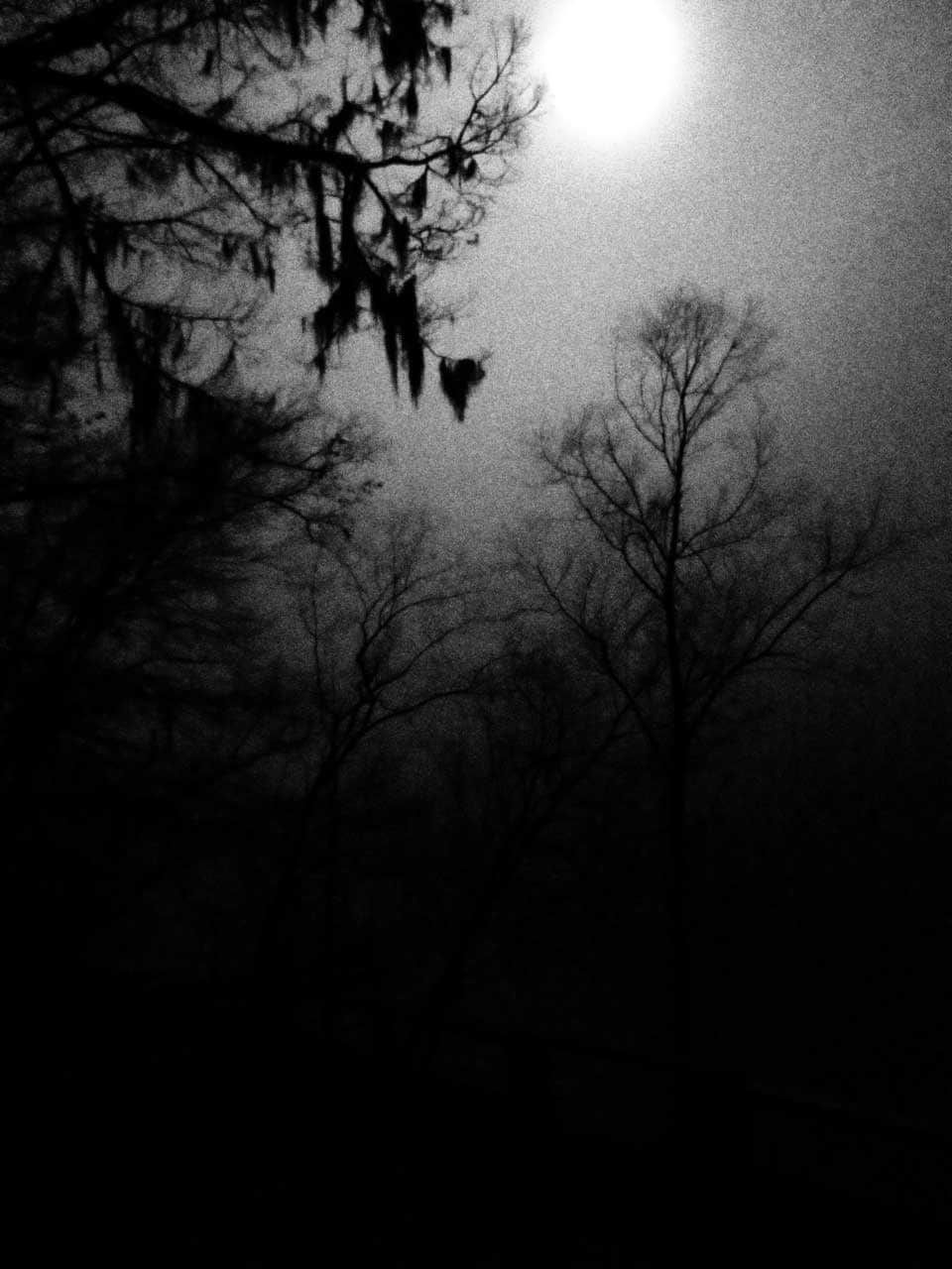 _images/dark_night_of_soul_Moon_Shot_over_Suwannee-1.jpg