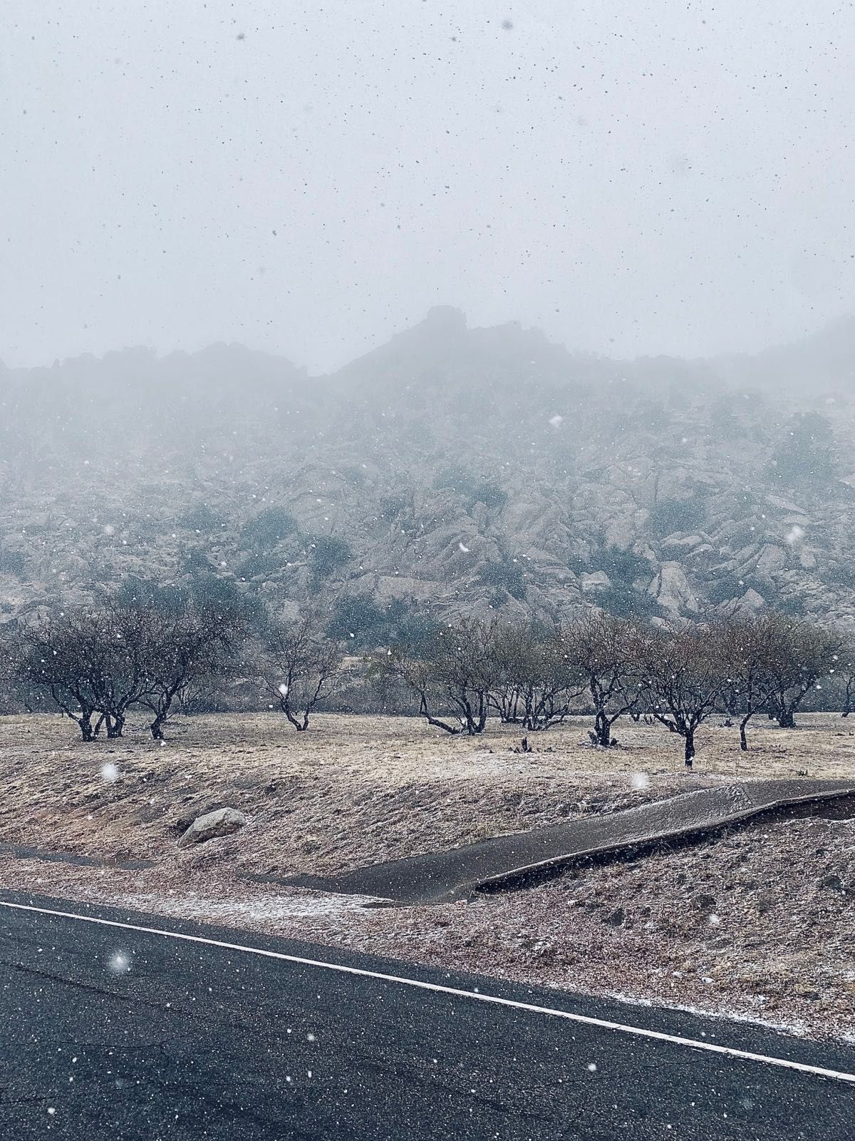 snowstorm on texas canyon arizona. forgot how beautiful they can be.