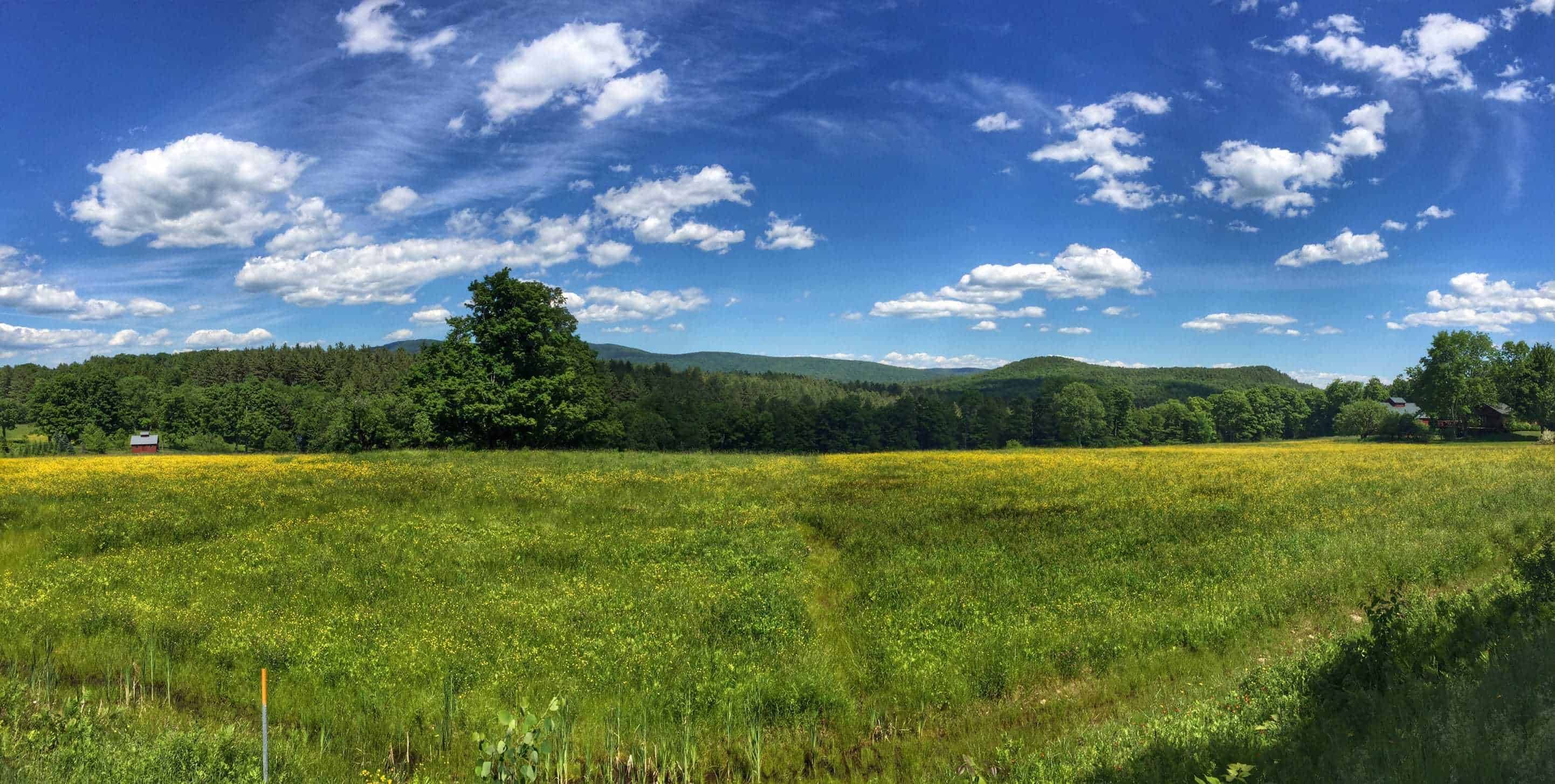 View of Vermont countryside in spring