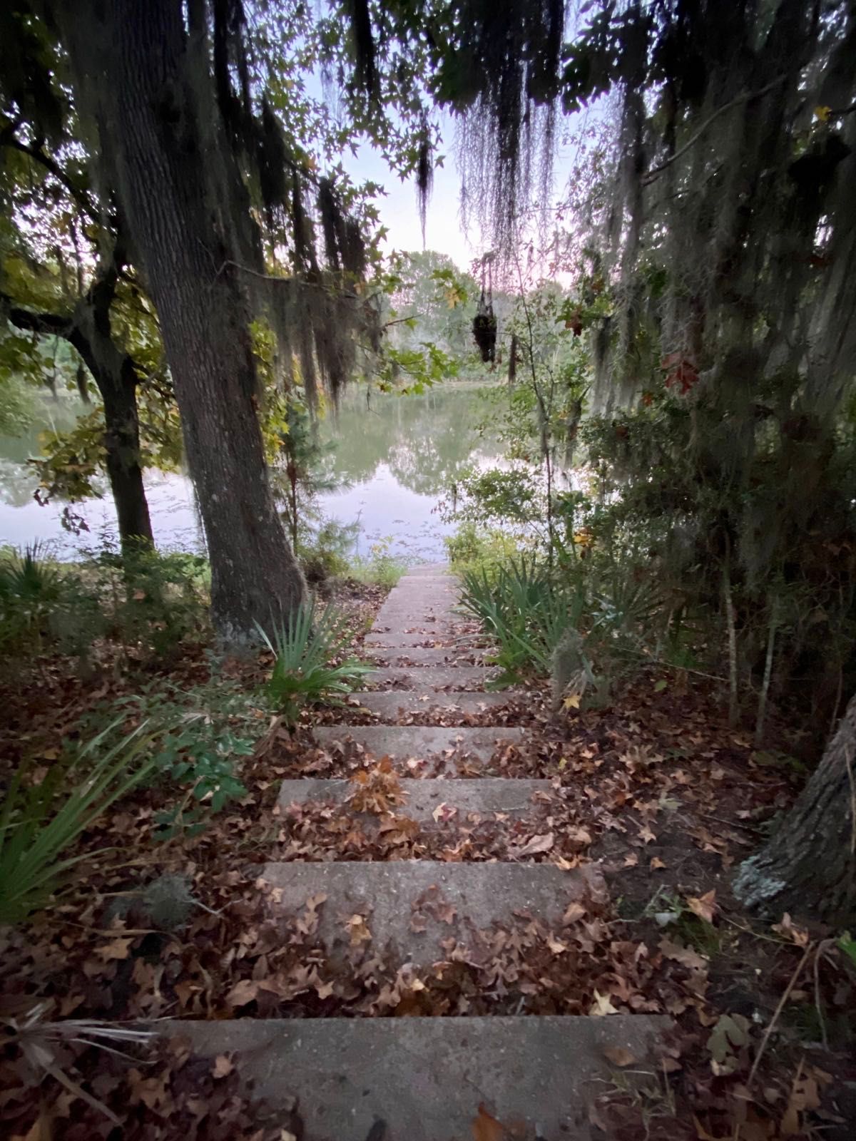 Stairway to heaven? Stubblefield Lake in Sam Houston National Forest