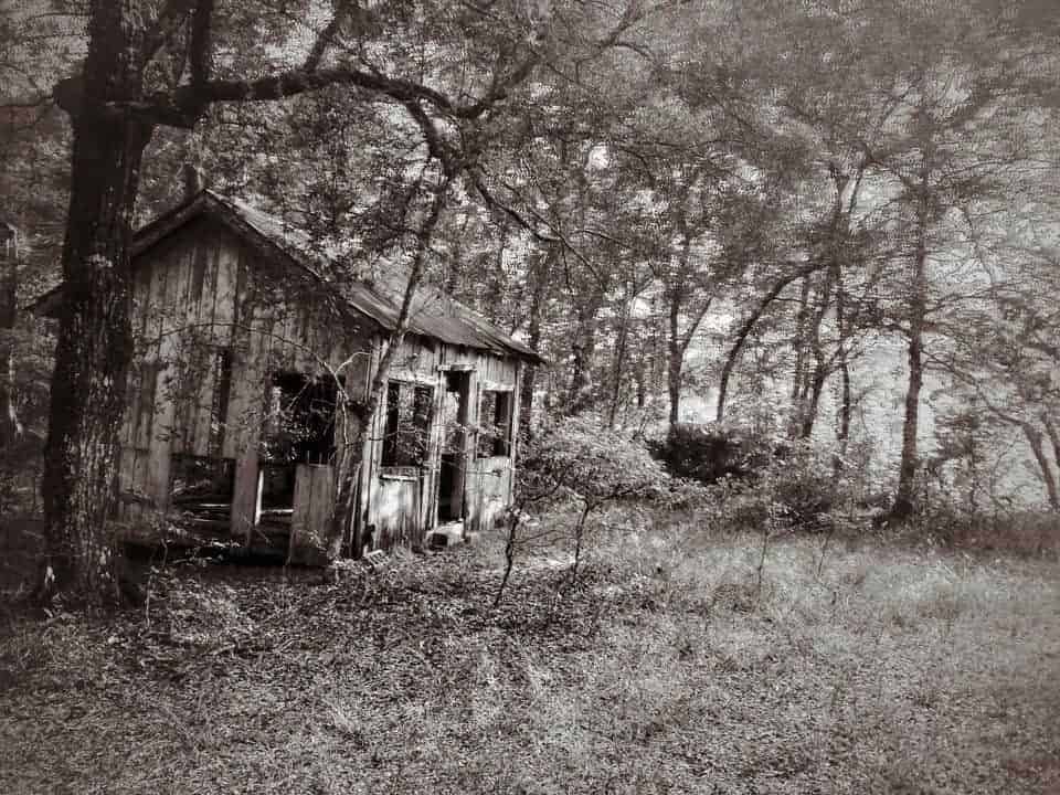 Abandoned cabin on the Suwannee river in Florida