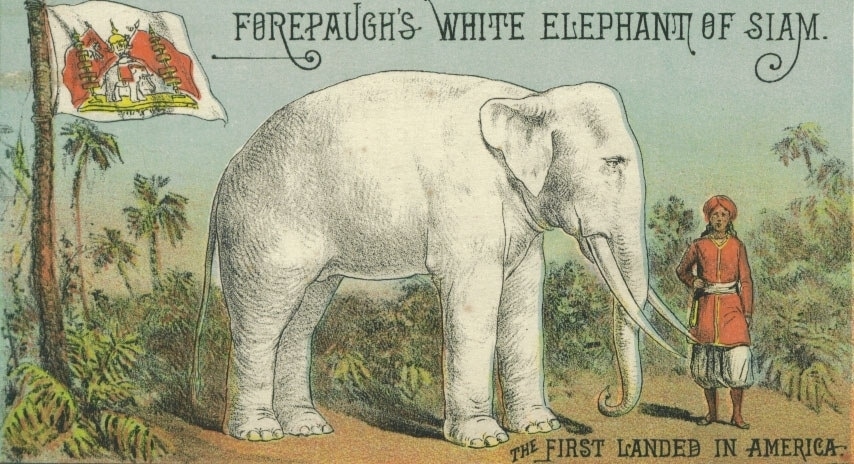 forepaugh white elephant