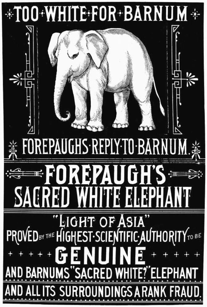 forepaugh barnum elephant