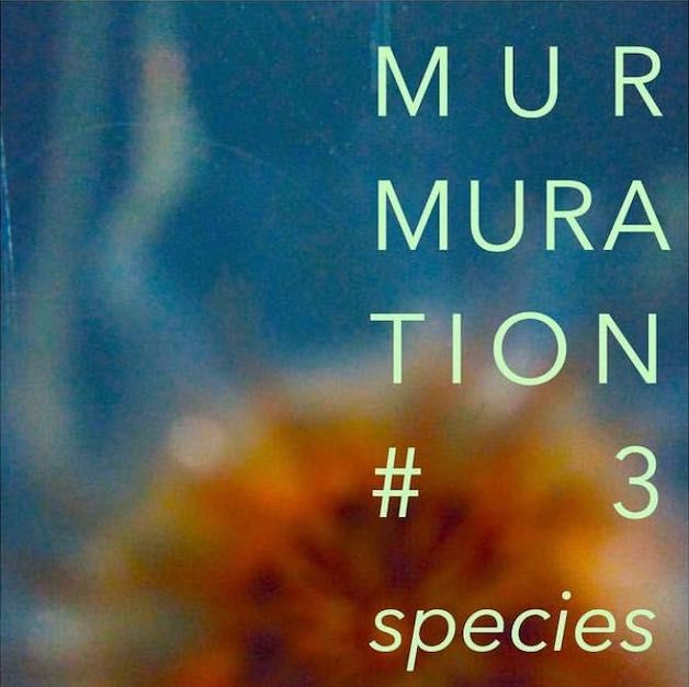 Murmuration 3: Species