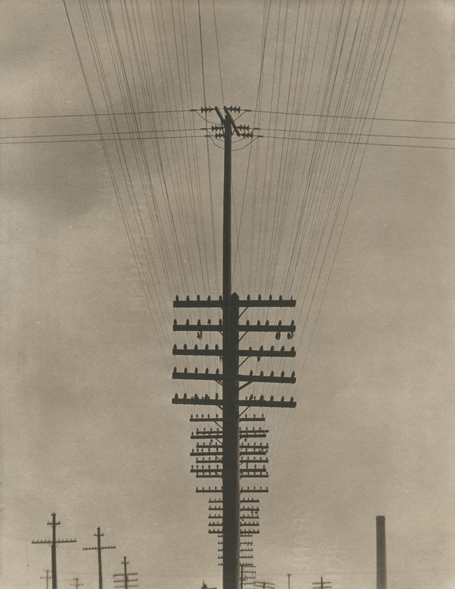 Tina Modotti, Telegraph Wires, Mexico 1925