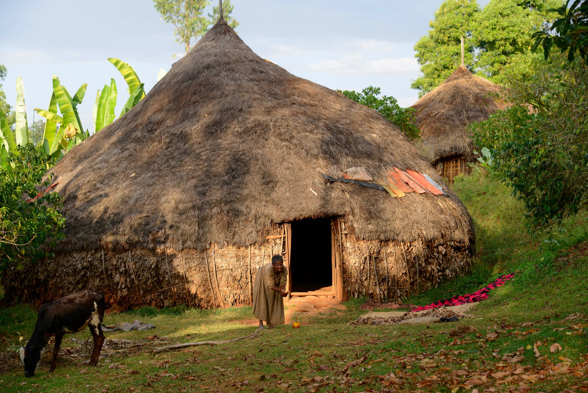 Casa de bambú de los Sidama. Créditos: Gerhard Huber, 2012