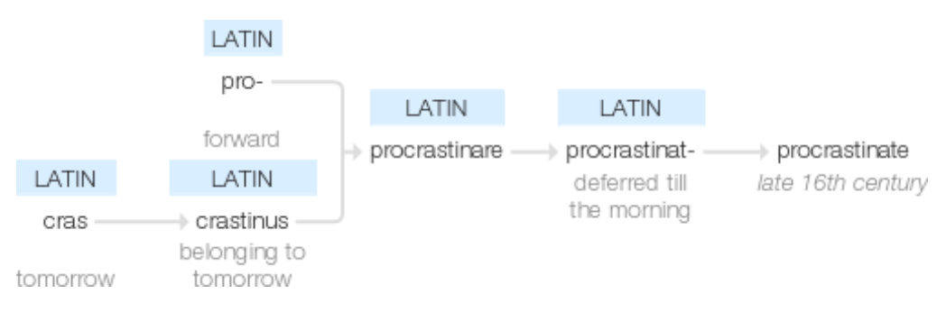 An image of the etymology diagram for the word 'procrastinate' from google dot com.
