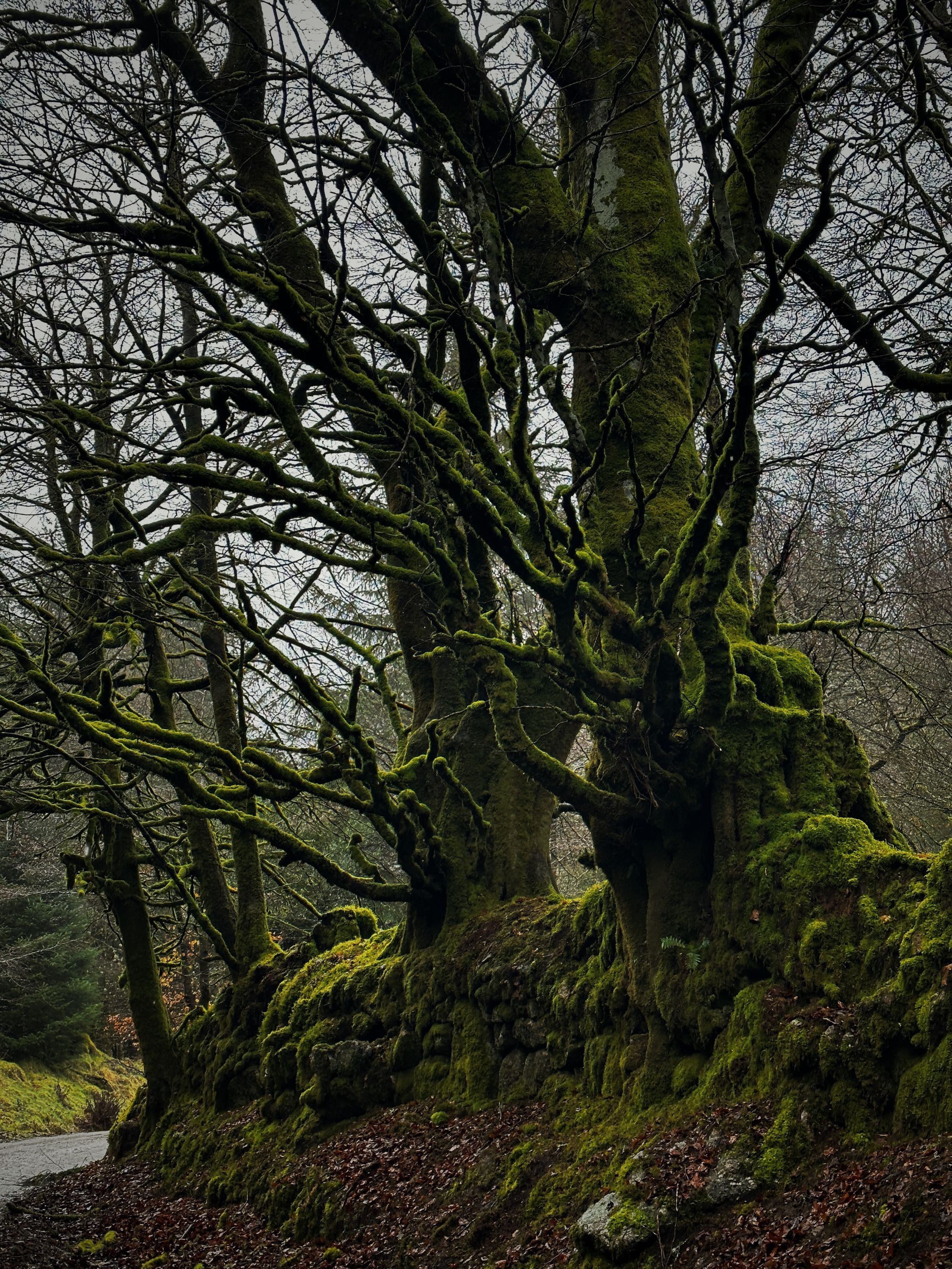 Dartmoor-07