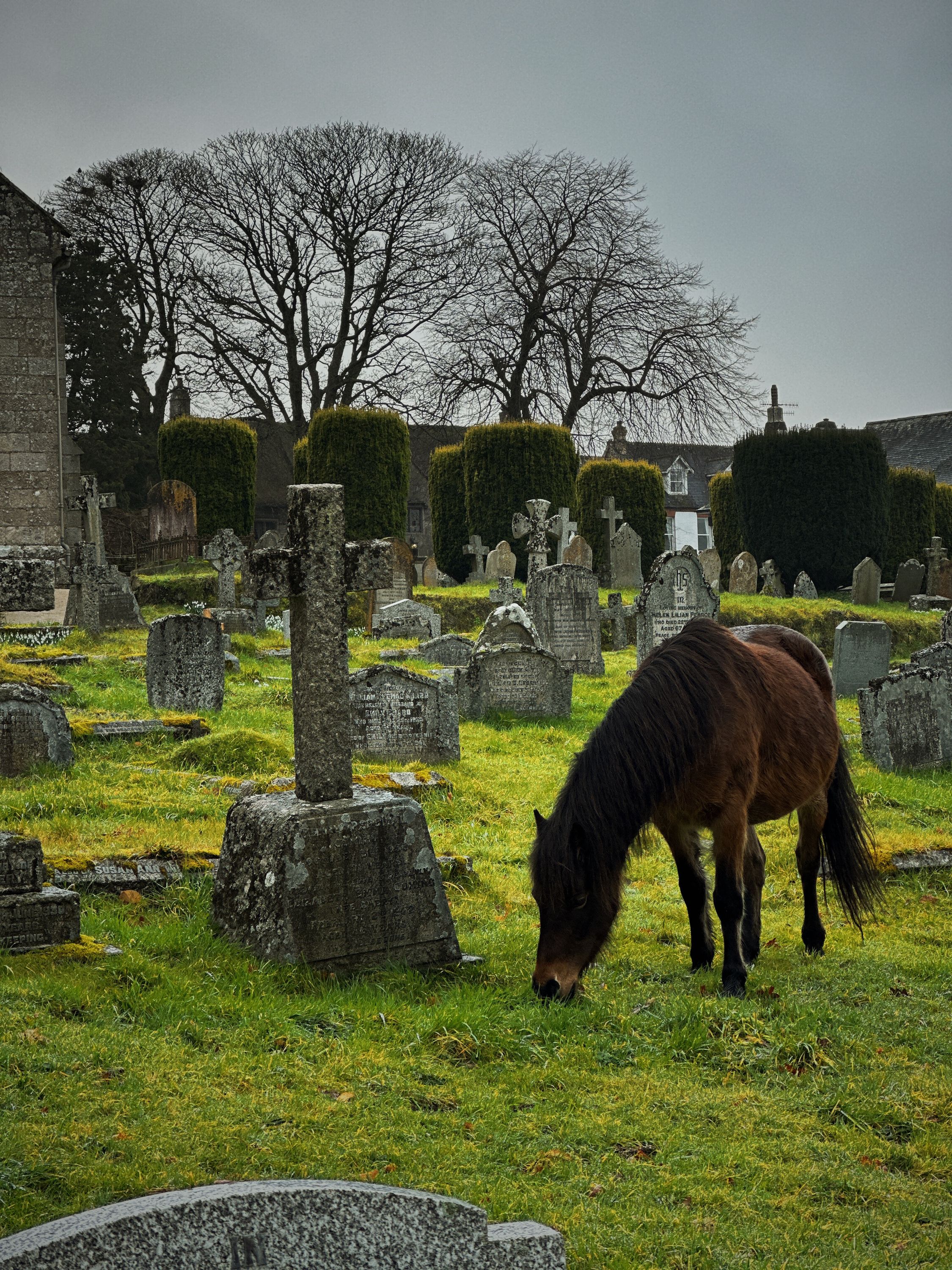 Graveyard ponies-2
