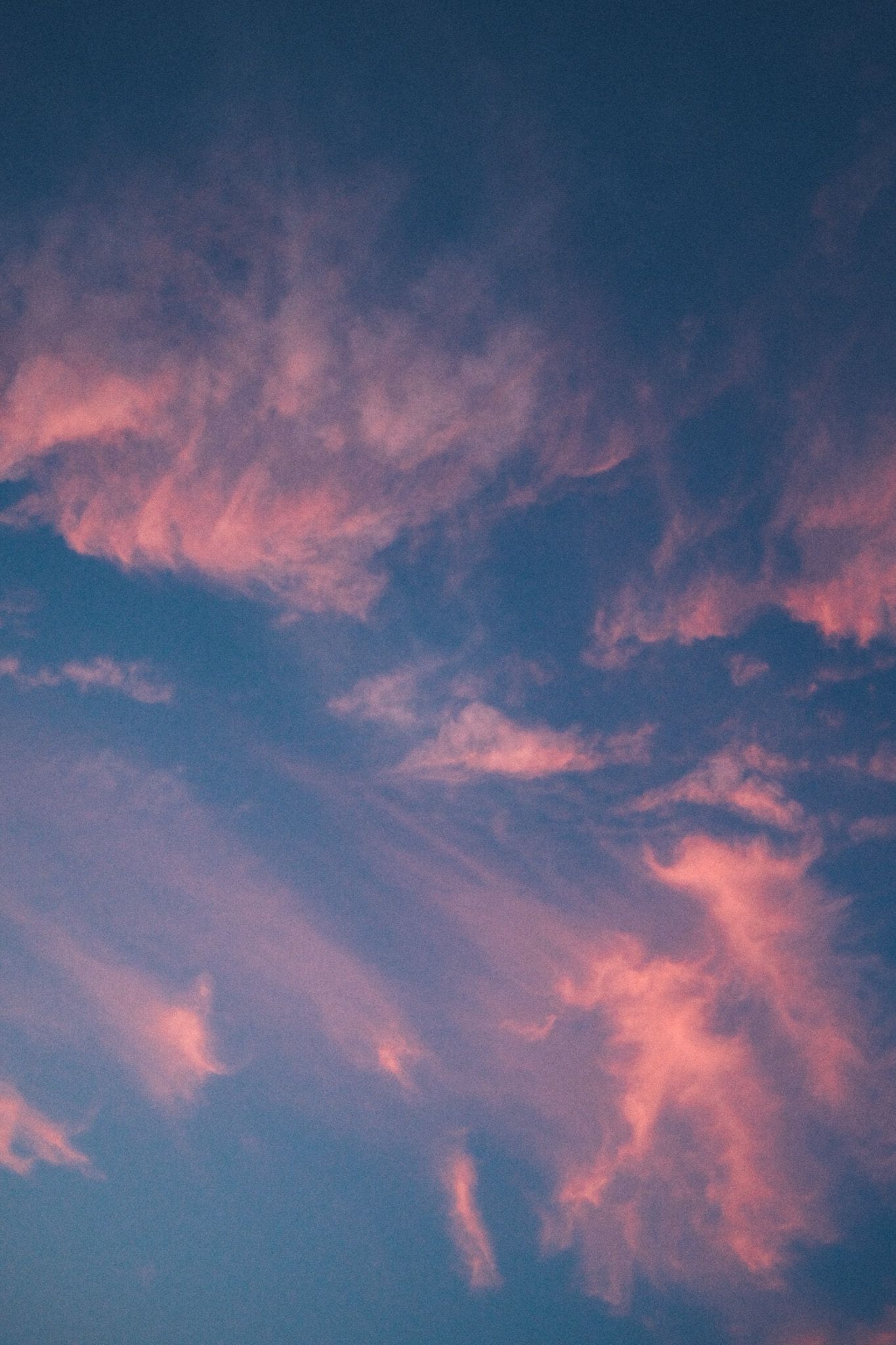 A blue sunset sky is filled with pink control candy wisps of clouds.