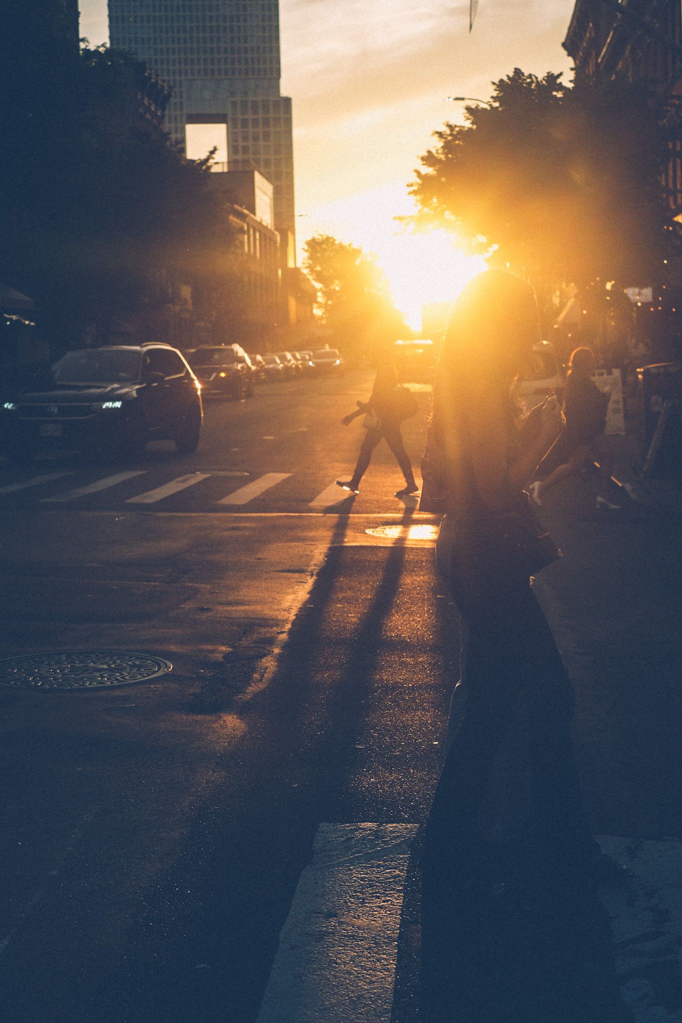 People cross a New York street at sunset, the shadows harsh and the sunburst yellow and blinding, maybe.
