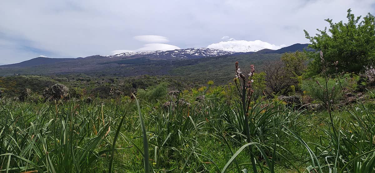 Vue sur l’Etna depuis notre piquenique