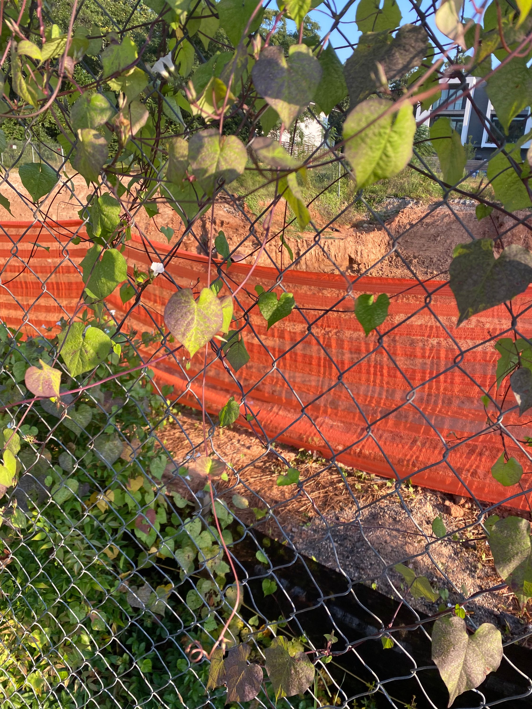 green leaves fence orange banner