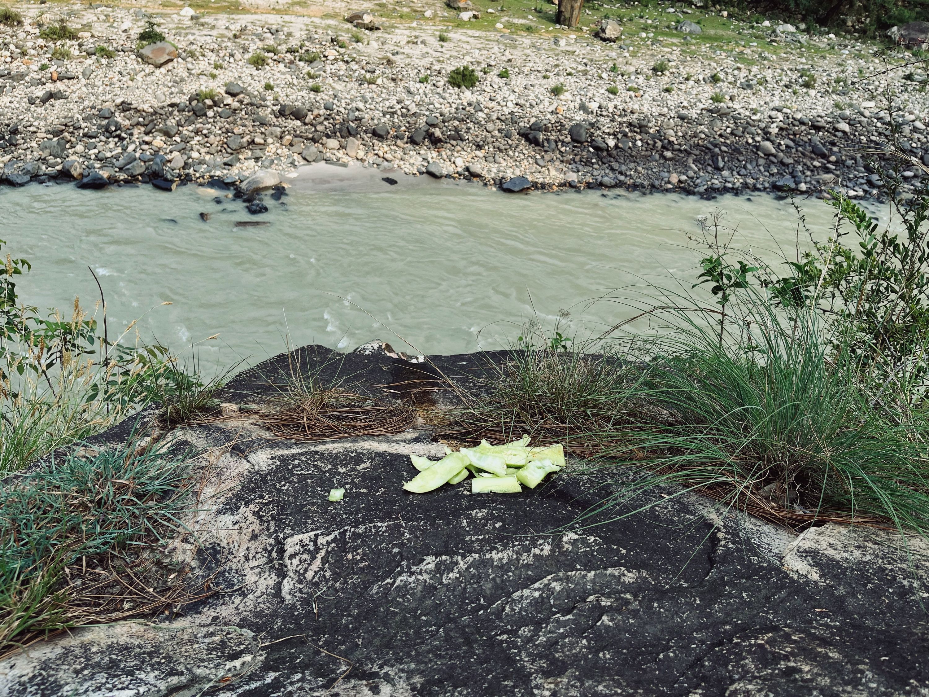 Cucumbers that I left for others on a rock on the Gangotri road.