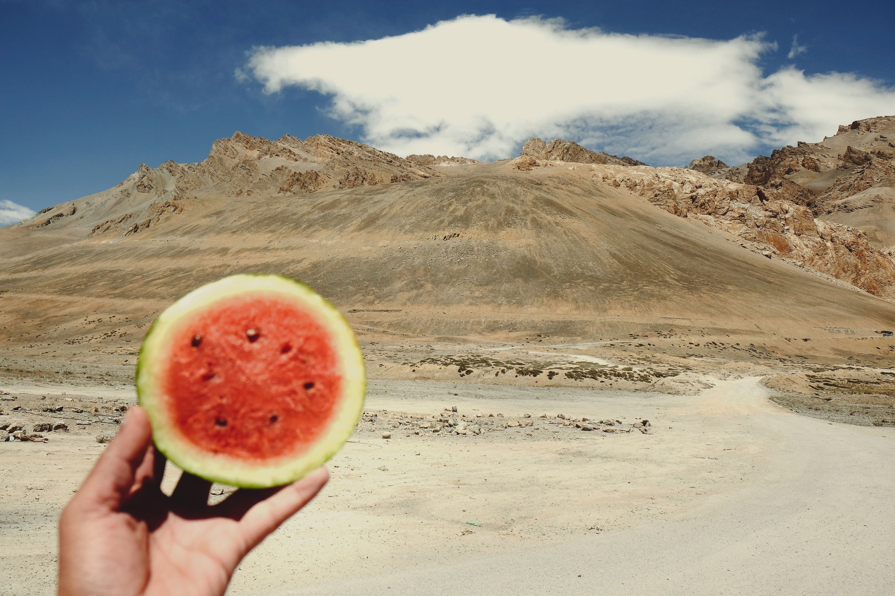 Selfie 2: The red slice posing for a selfie. Ladakh, India. August 2021.