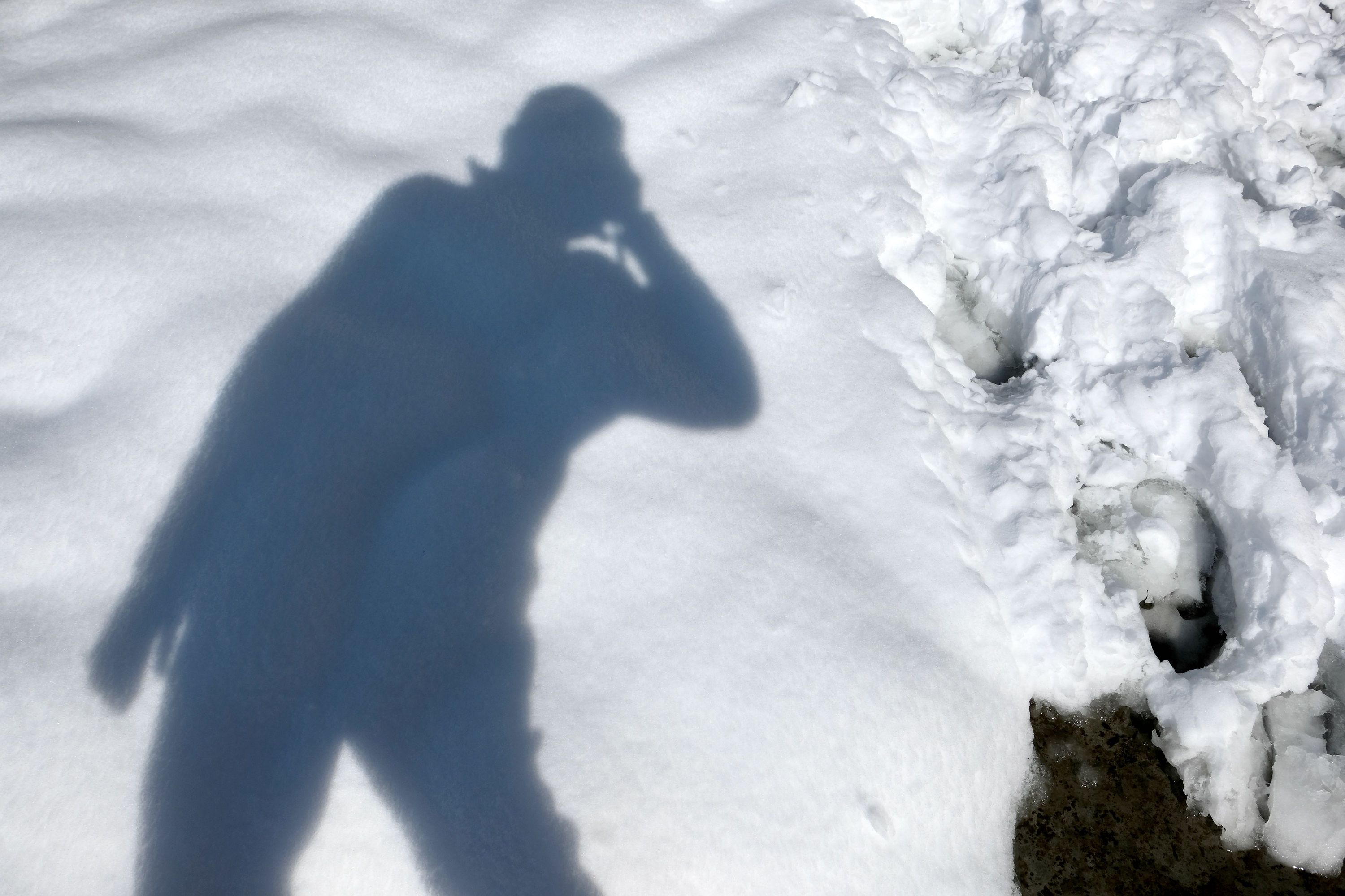 Selfie in the snow. Vashisht, Himachal Pradesh, India. January 2022.