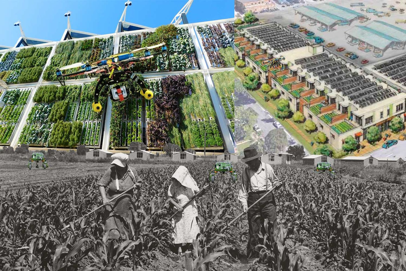 Digital collage of a family in a victory garden with agricultural robots added to the background, and sketch of a mixed-used urban farm, and a vertical farm on the facade of a building with a drone.