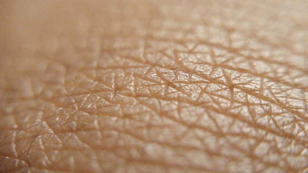 Macro photograph of human skin