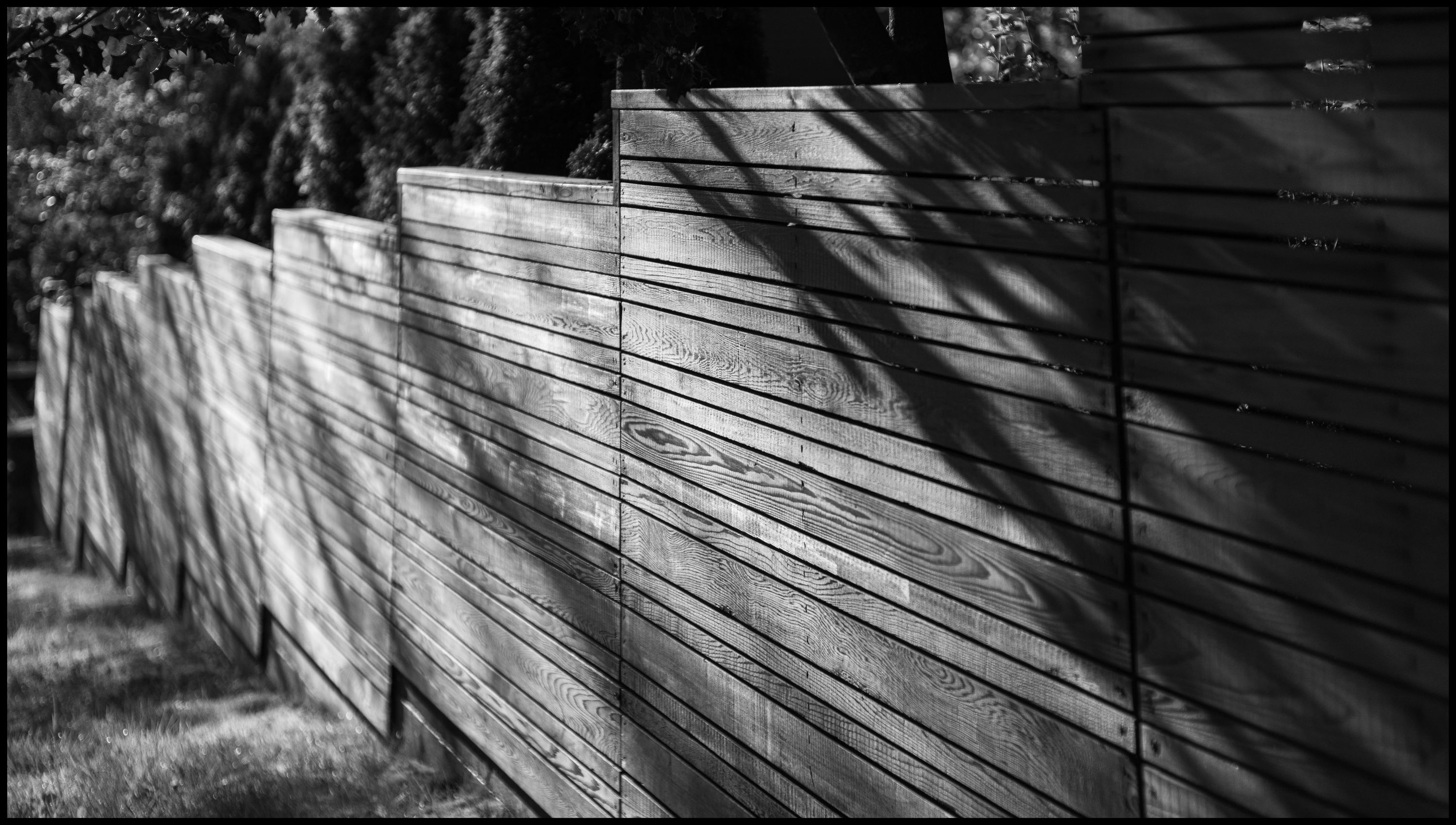 Step Fence. Leica SL2 & Zeiss ZM 50mm f1.5 Sonnar