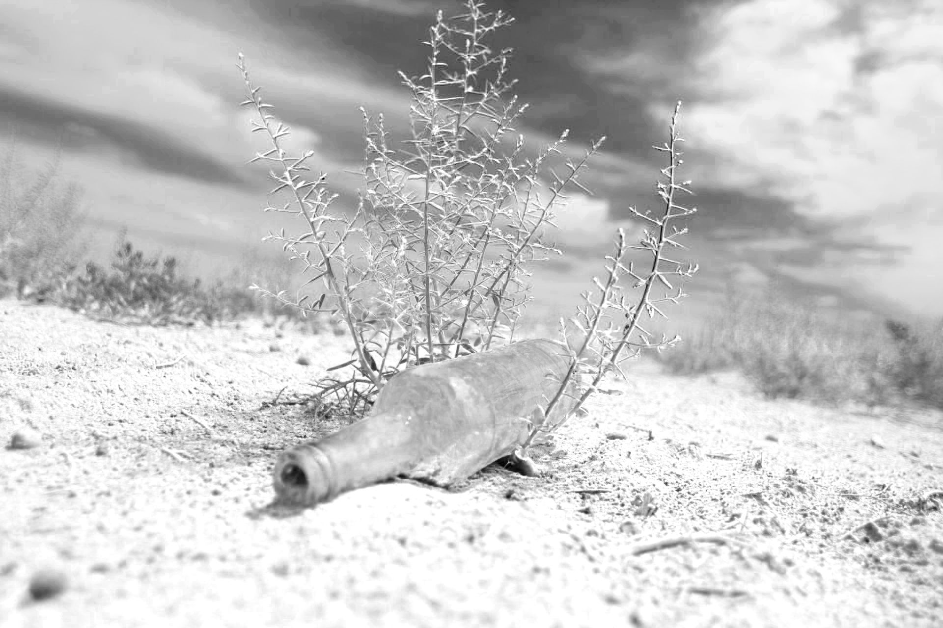 A bottle in the Kyzylkum Desert