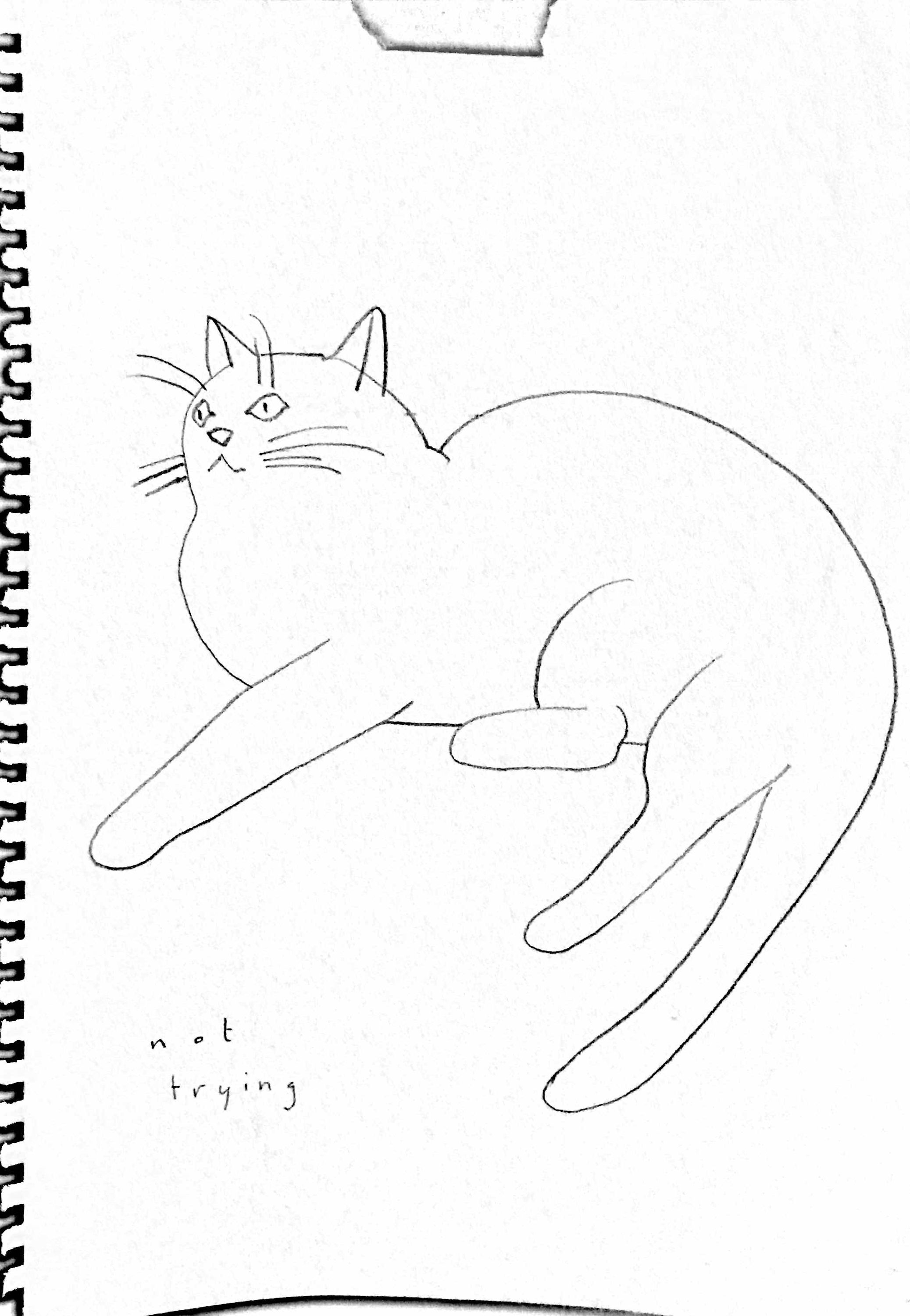 a simple drawing of a cat with ‘not trying’ written below it