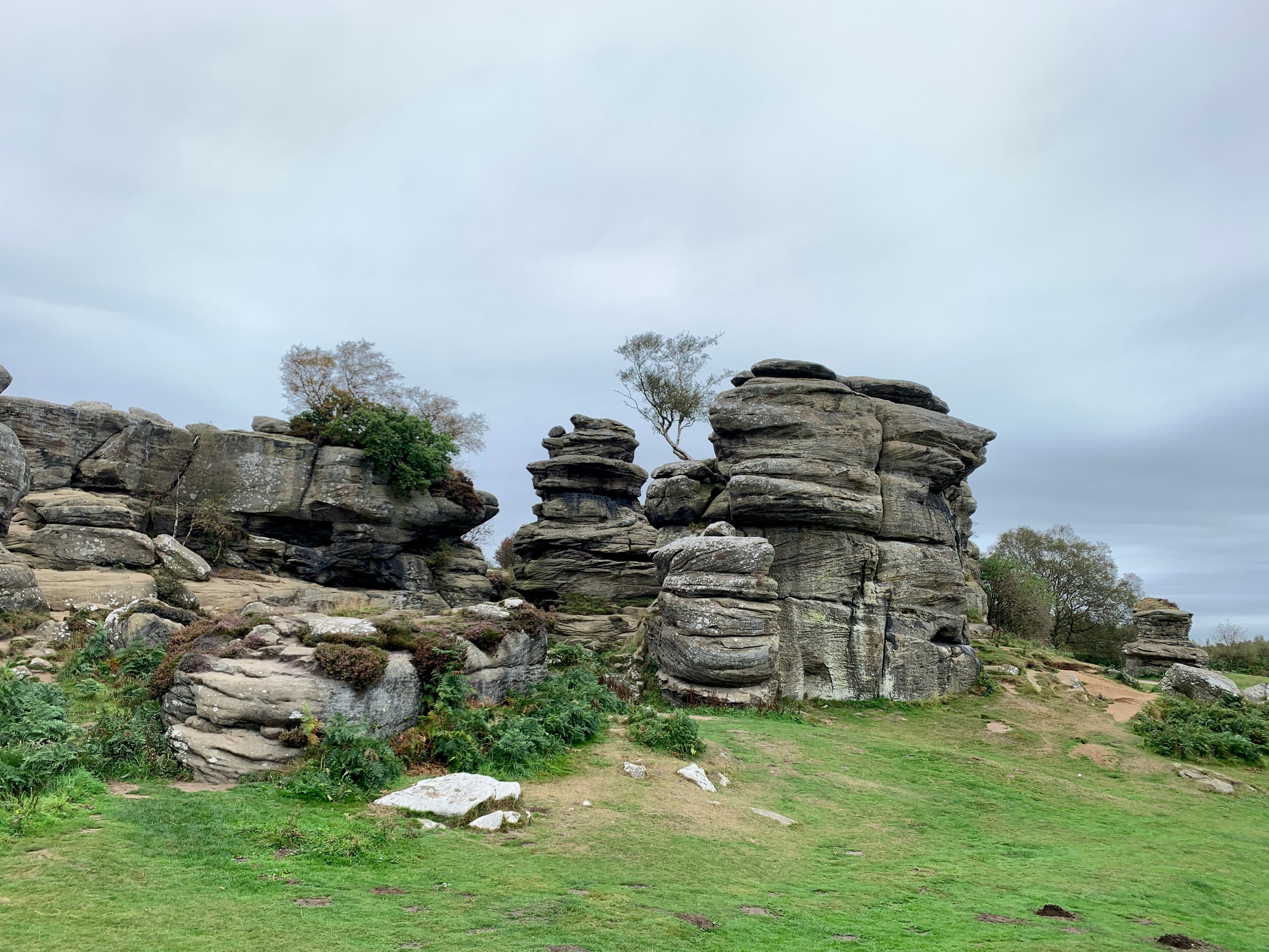 Brimham Rocks 1