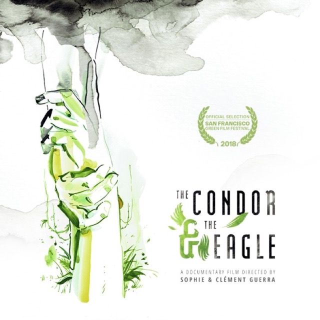 The Condor and the Eagle