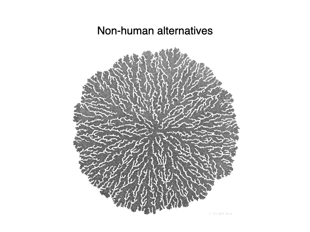 Slide: non-human alternatives