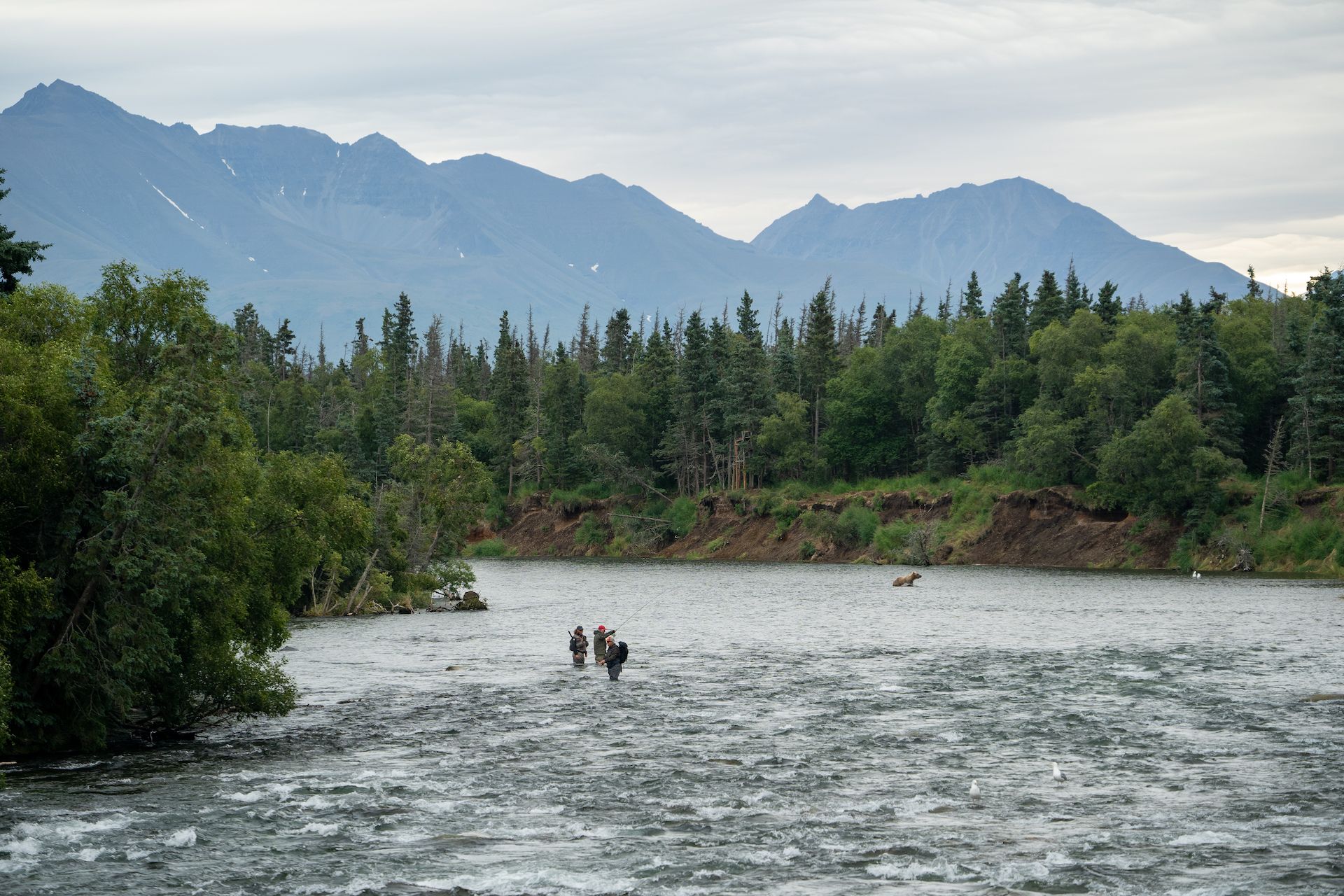 Arriving at the Brooks River and observing a different fishing party fishing a couple hundred yards from a bear. That would be us soon!
