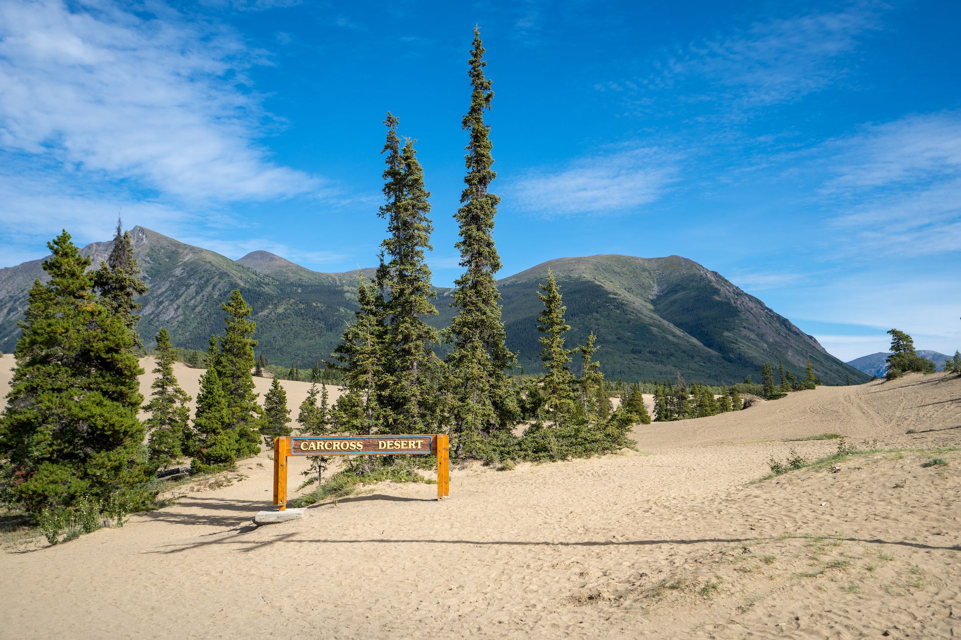 We stopped in the Carcross “desert” on our way back to Whitehorse. Fun fact: Carcross got its name from “Caribou Crossing.”