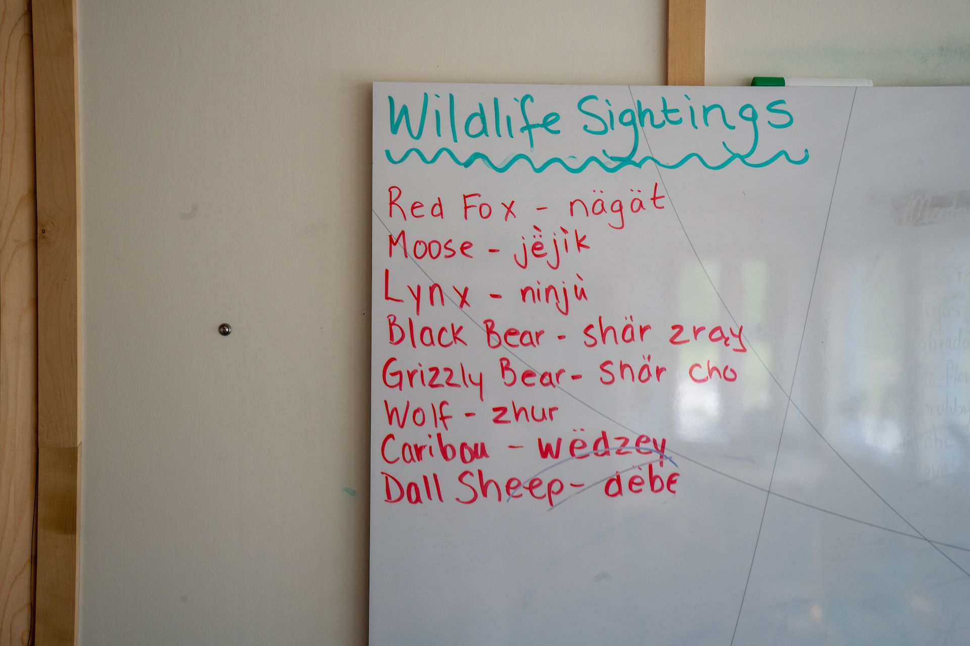Wildlife sightings and their native language names