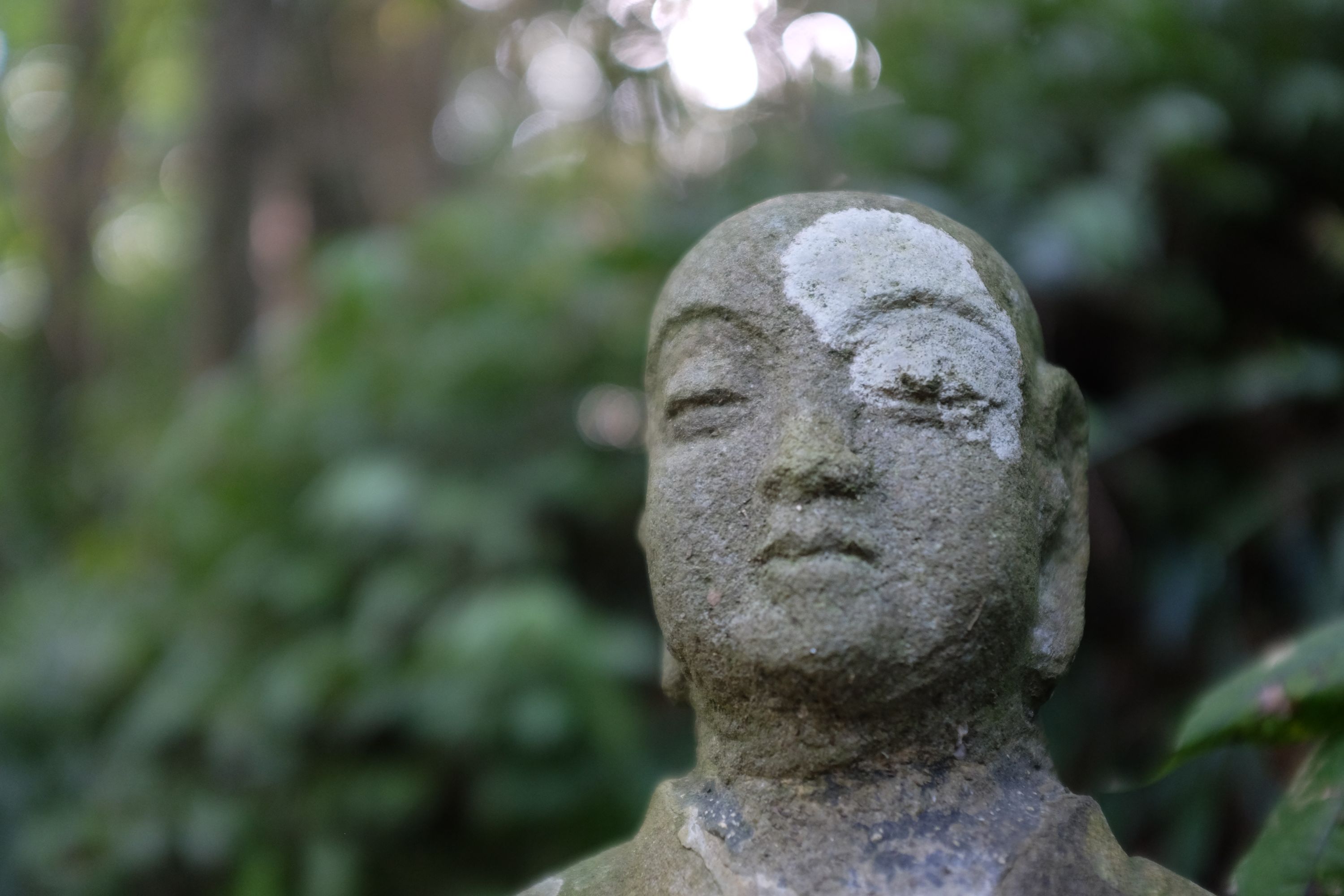 Portrait of a Buddha statue with a growth of lichen across its forehead and left eye.
