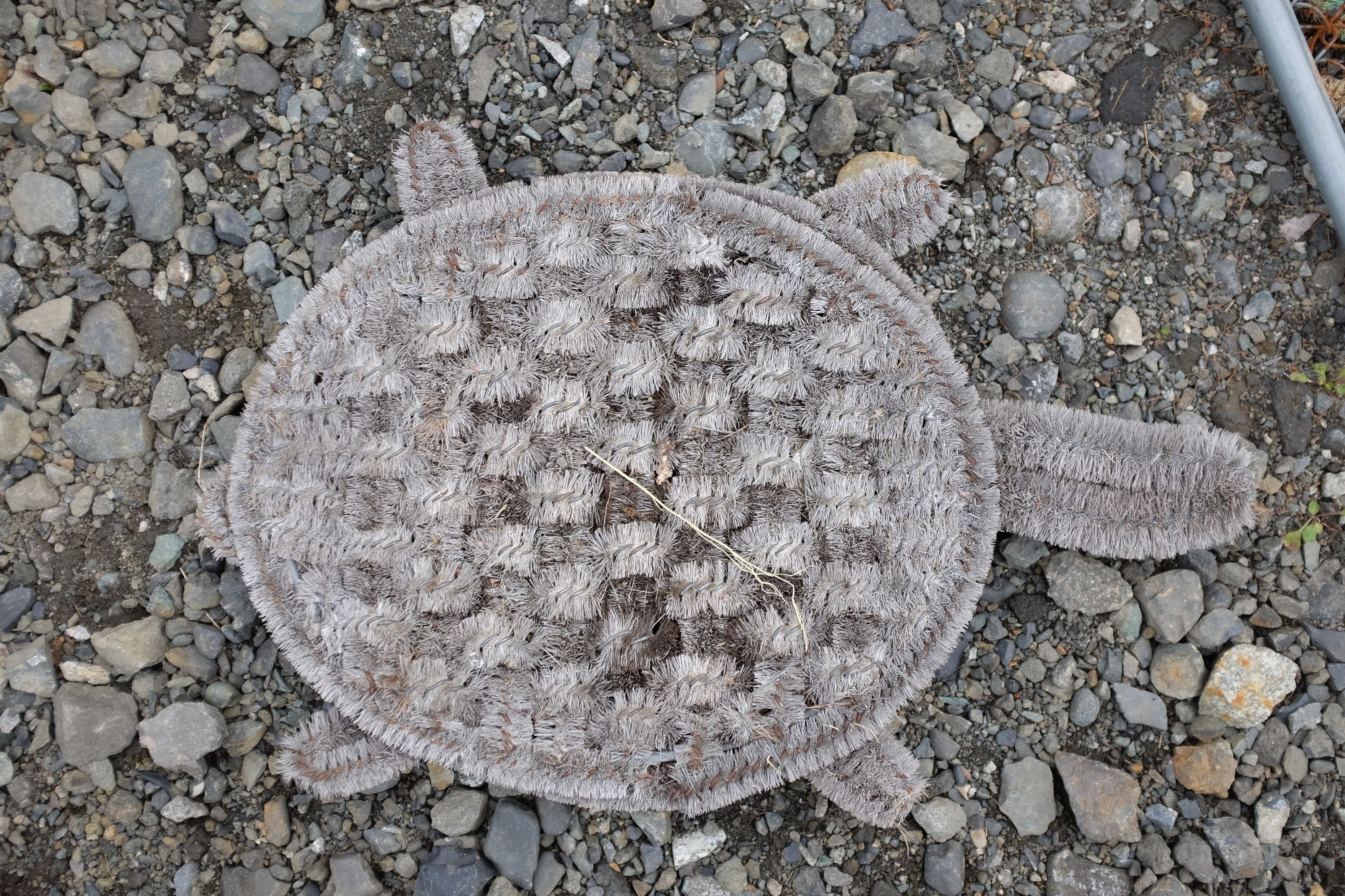 A doormat shaped like a tortoise.