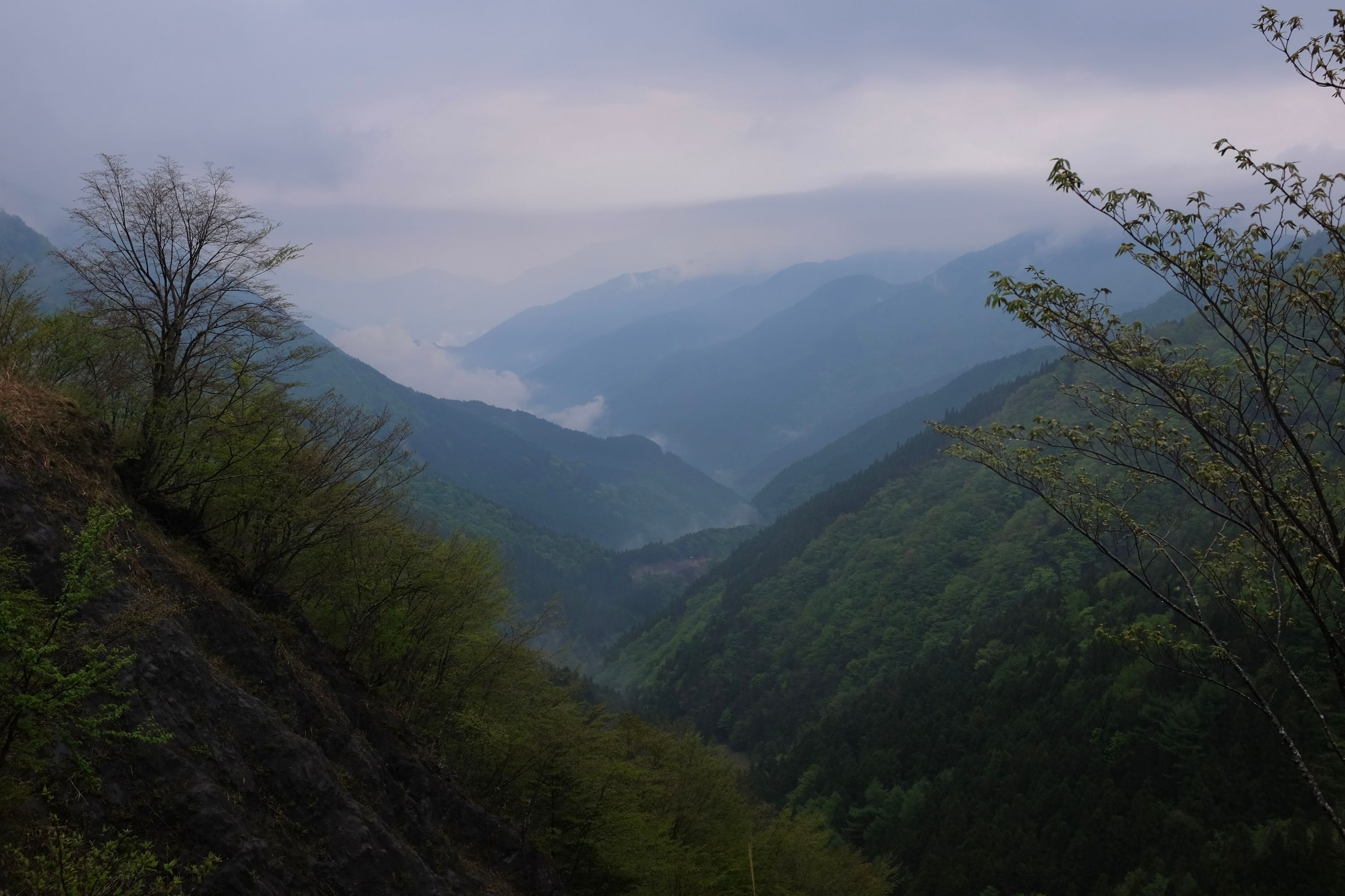 A cloud-filled, forested valley runs towards the horizon under very cloudy skies.