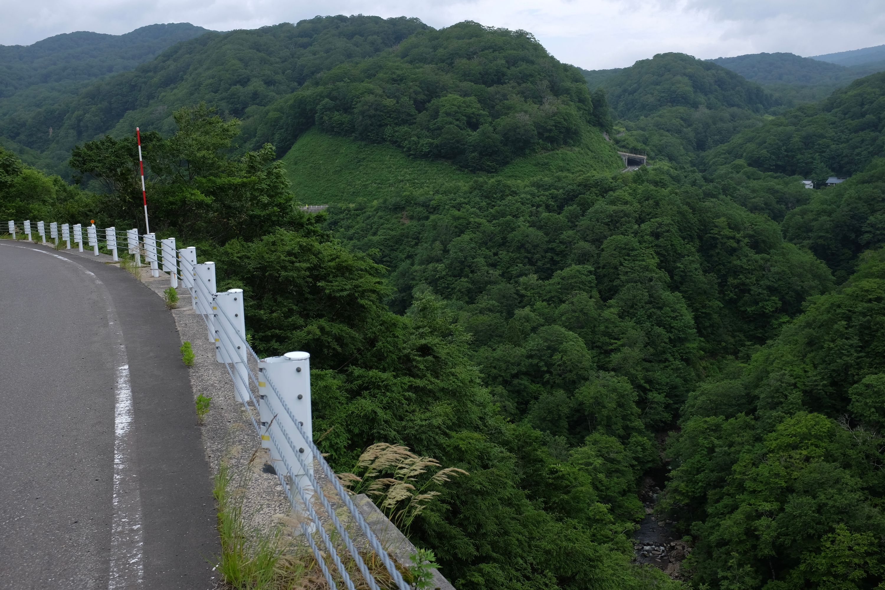 Panorama of a road snaking across heavily forested, steep hills.