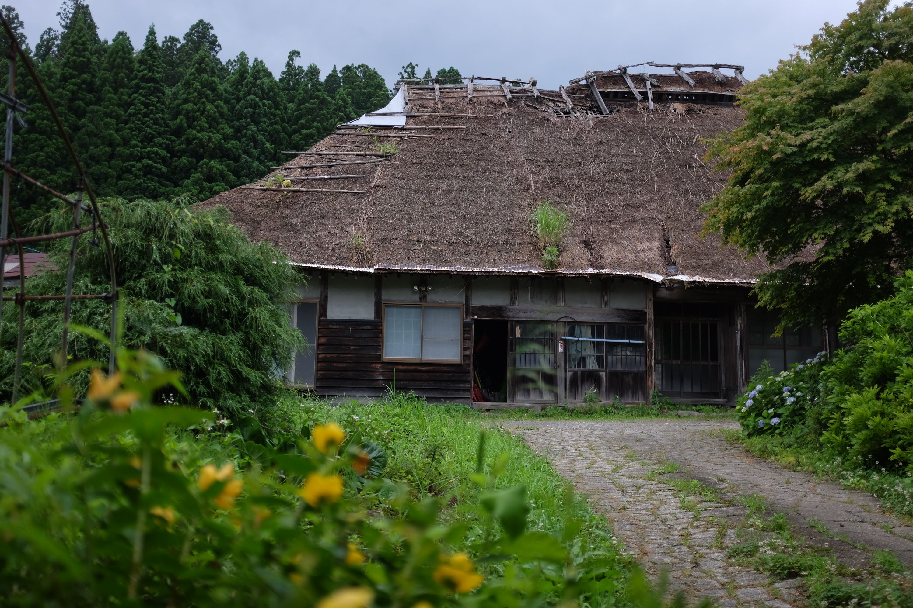 A thatch-roofed farmhouse in a state of disrepair.