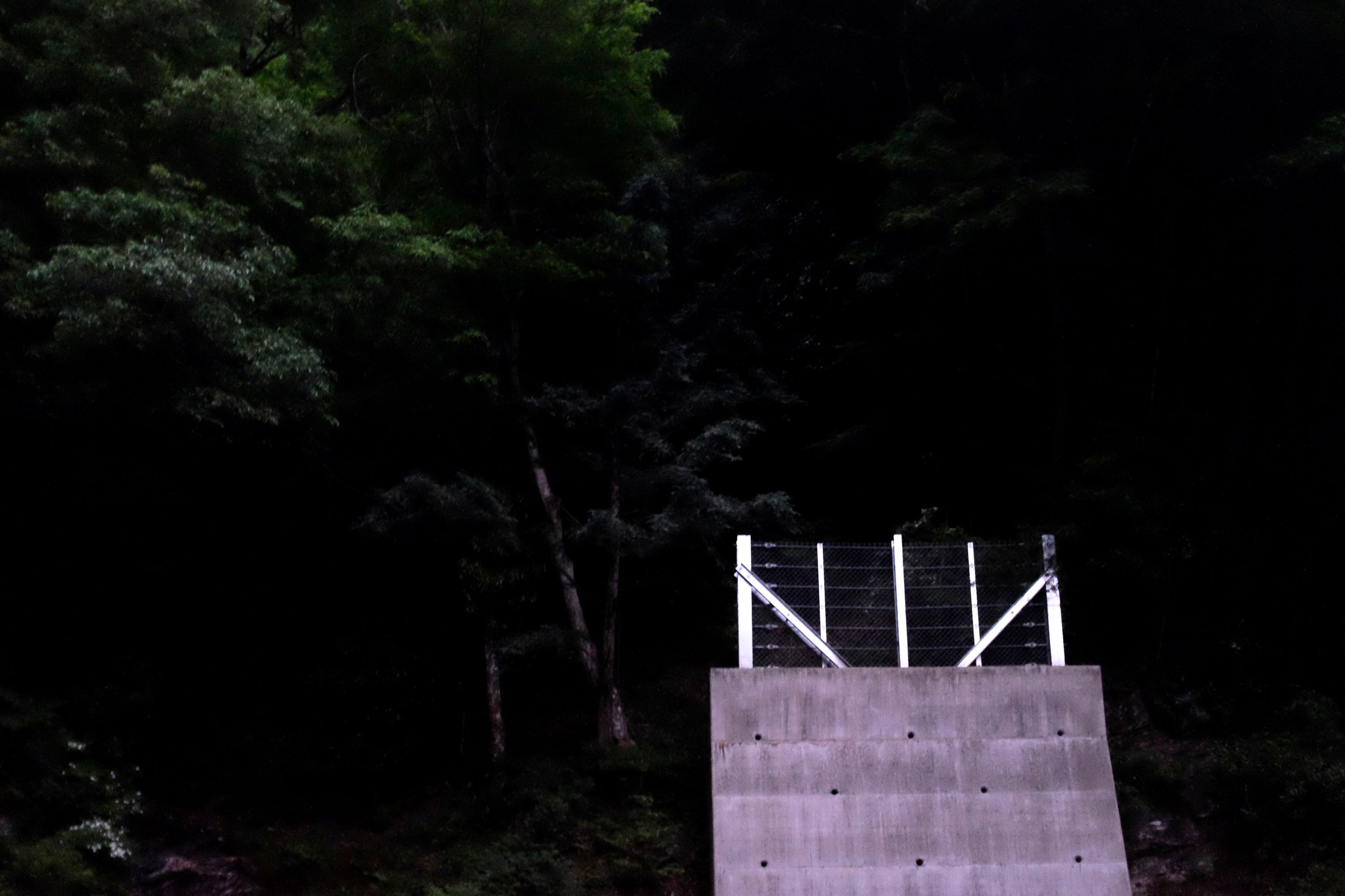 The flash suggests a forest at night and highlights a set of guardrails which spell NIИ, the same way as the logo of the band Nine Inch Nails.