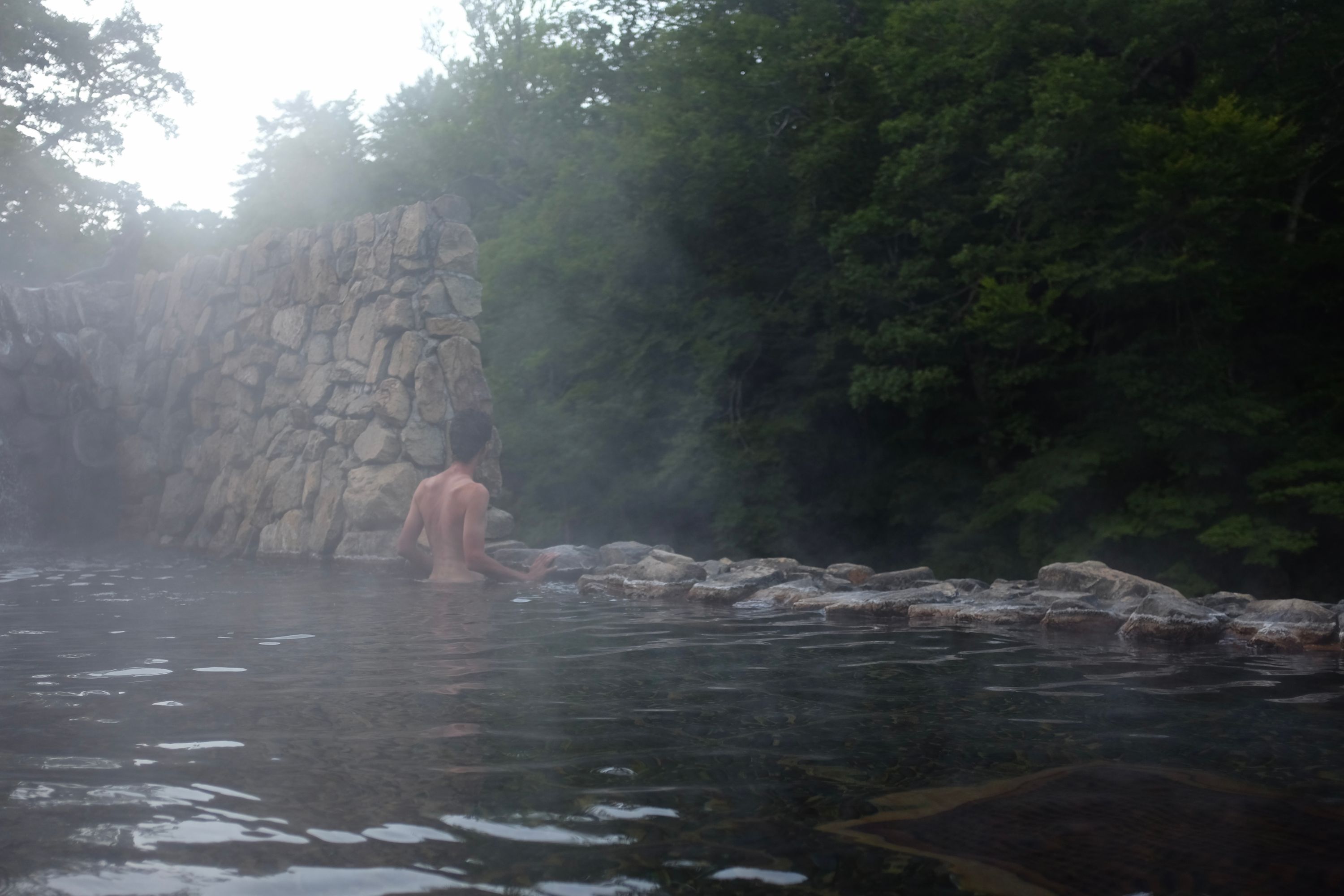 Facing away from the camera, the author stands naked in an outside bath in the forest, visible from the waist above.