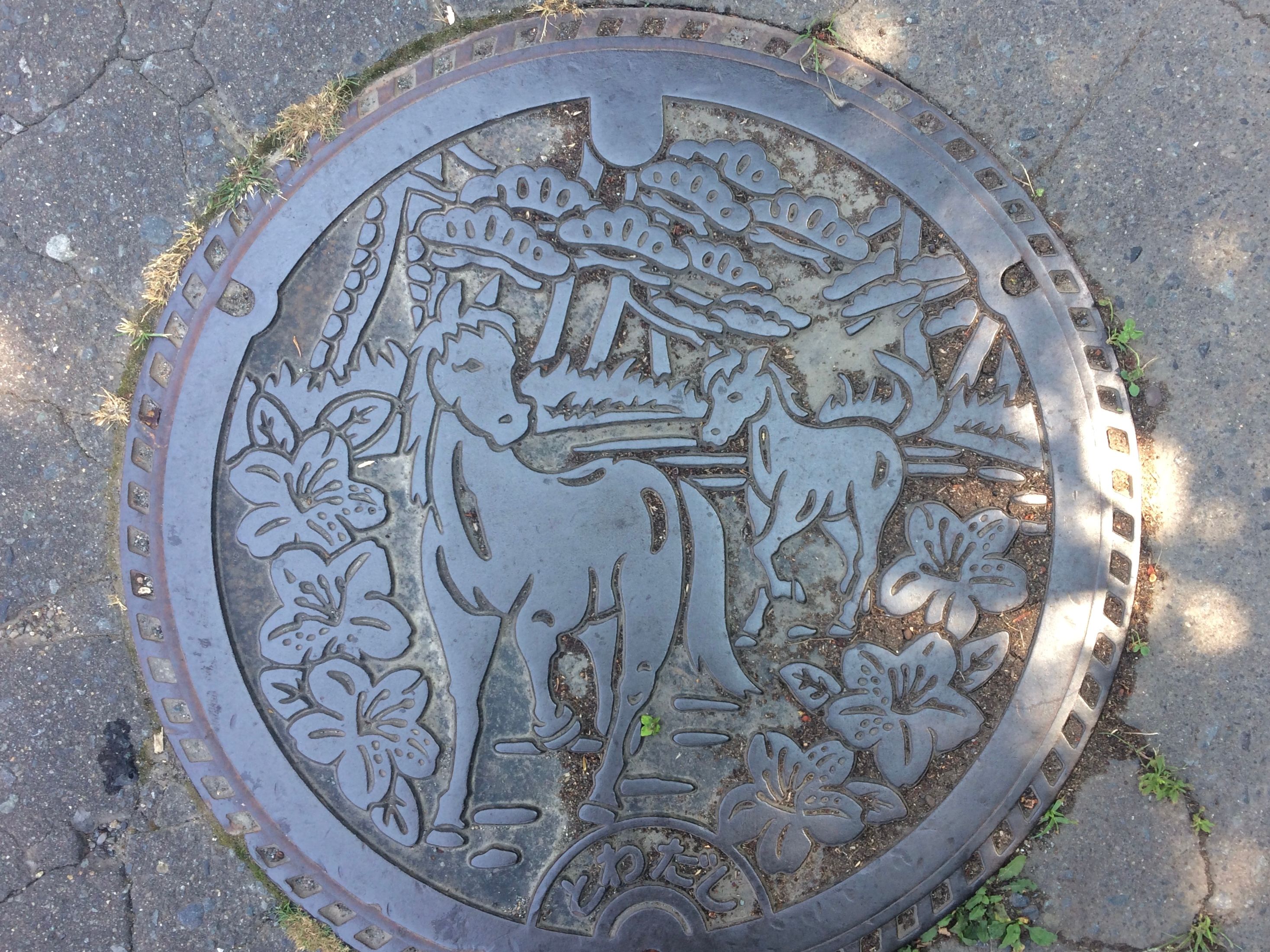 A manhole cover shows two very beautiful horses.