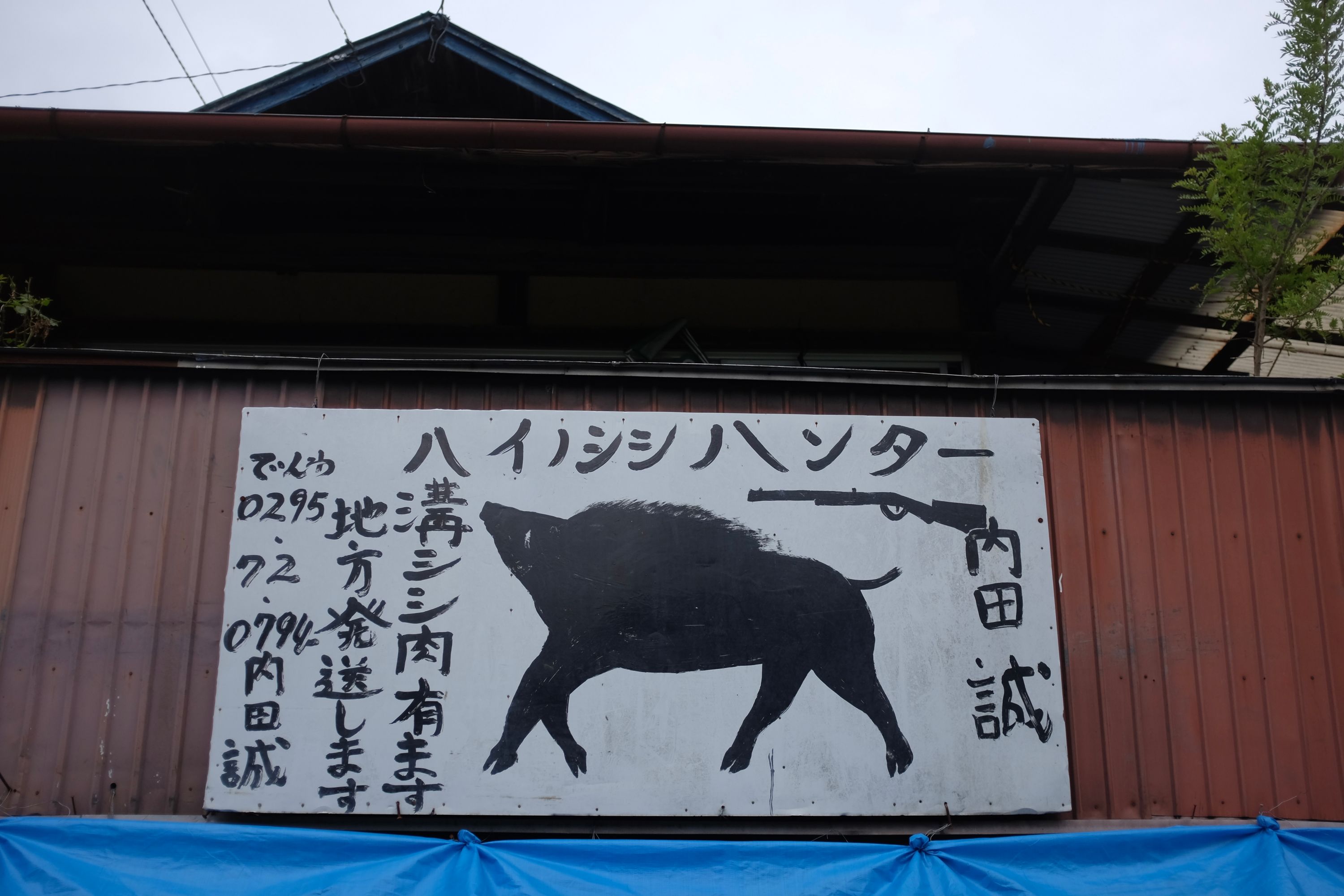 A poster of a wild boar, a gun, and a lot of Japanese text.