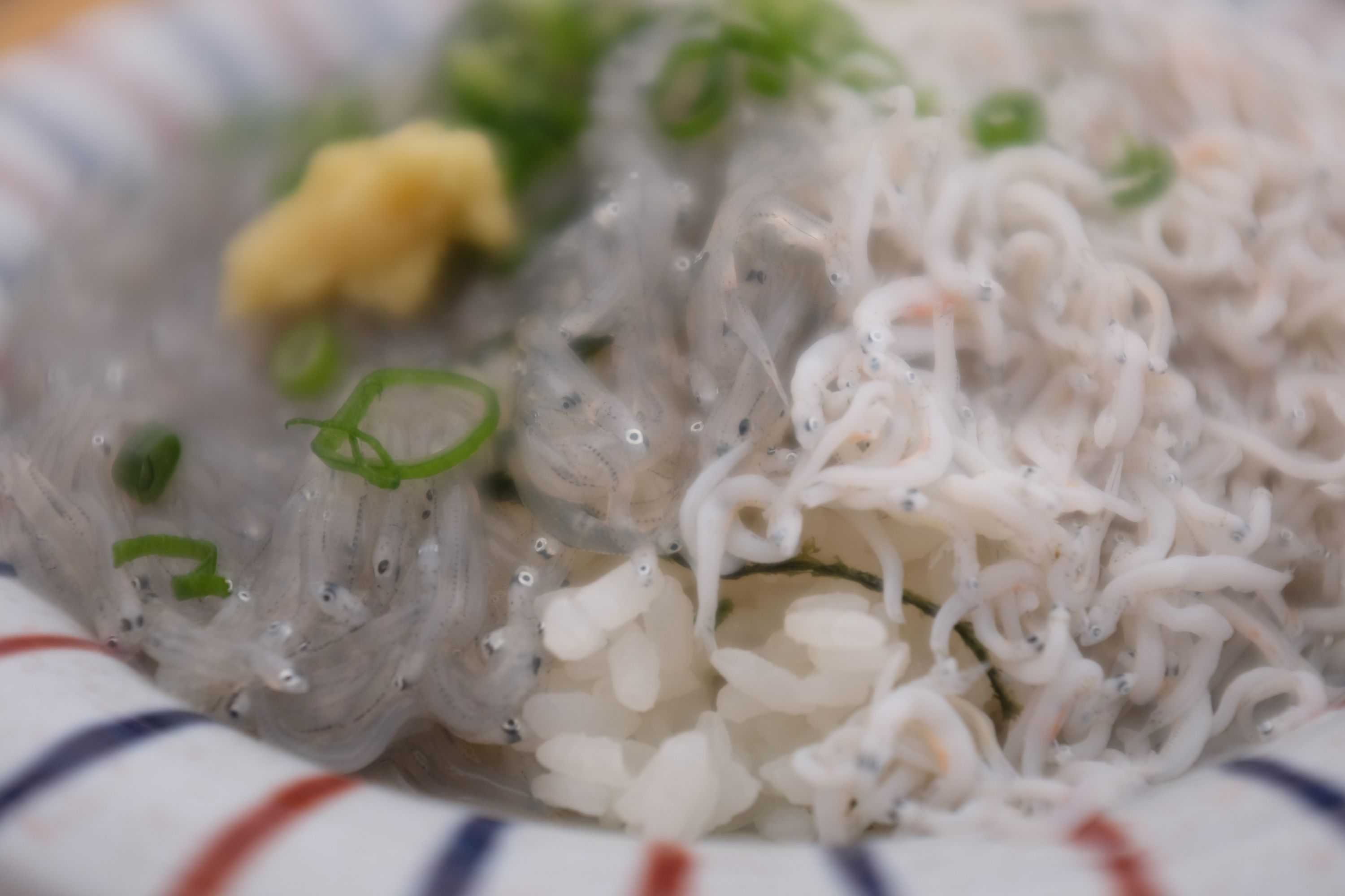 Closeup of a bowl of whitebait over rice.