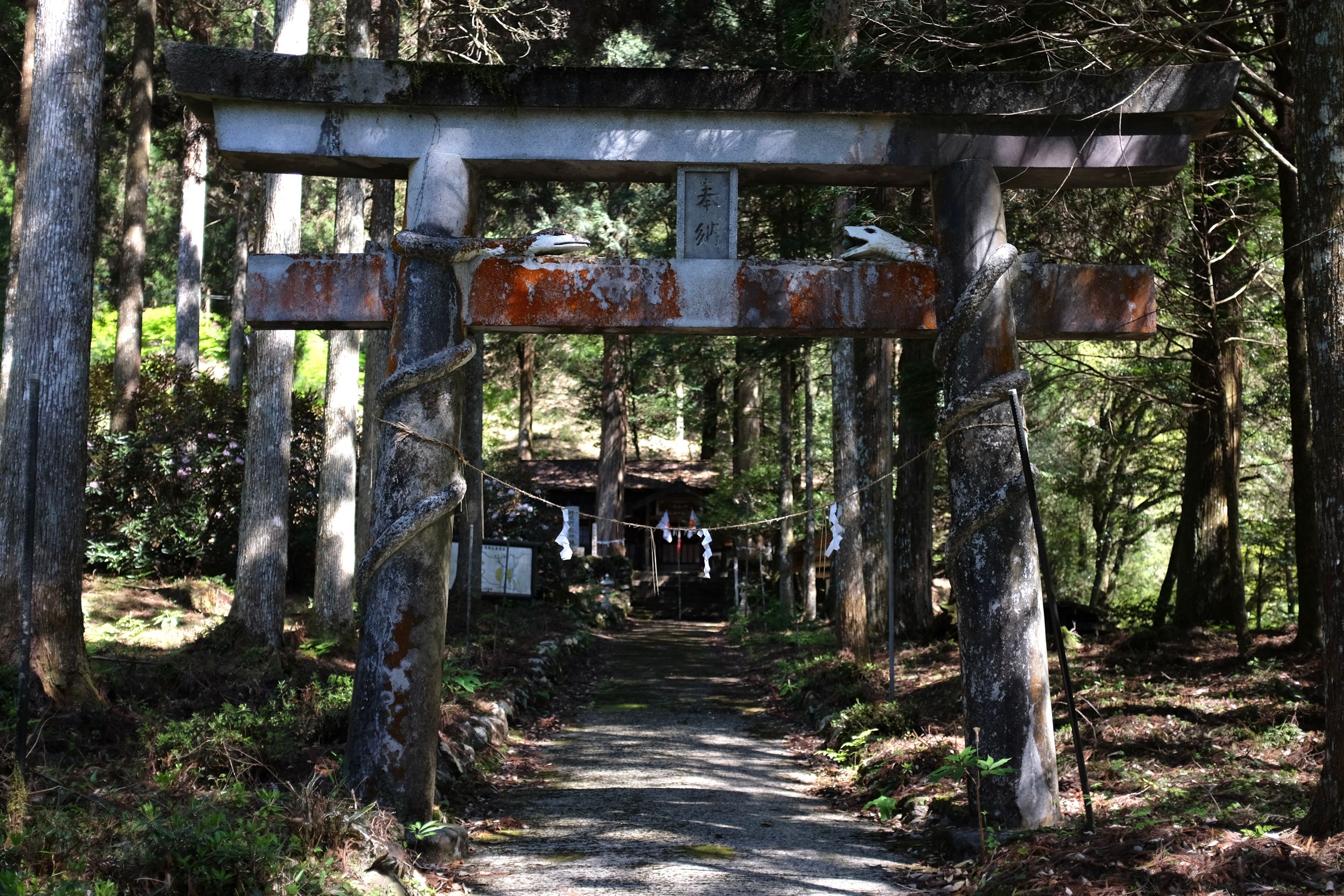 Gate of Shiramizuaso Shrine, Eshiro, Kumamoto. Photo: Peter Orosz