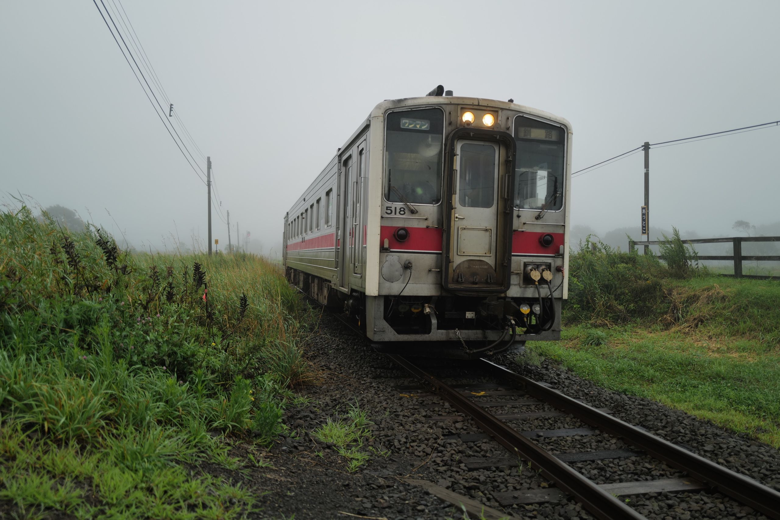 A small train appears from the fog.
