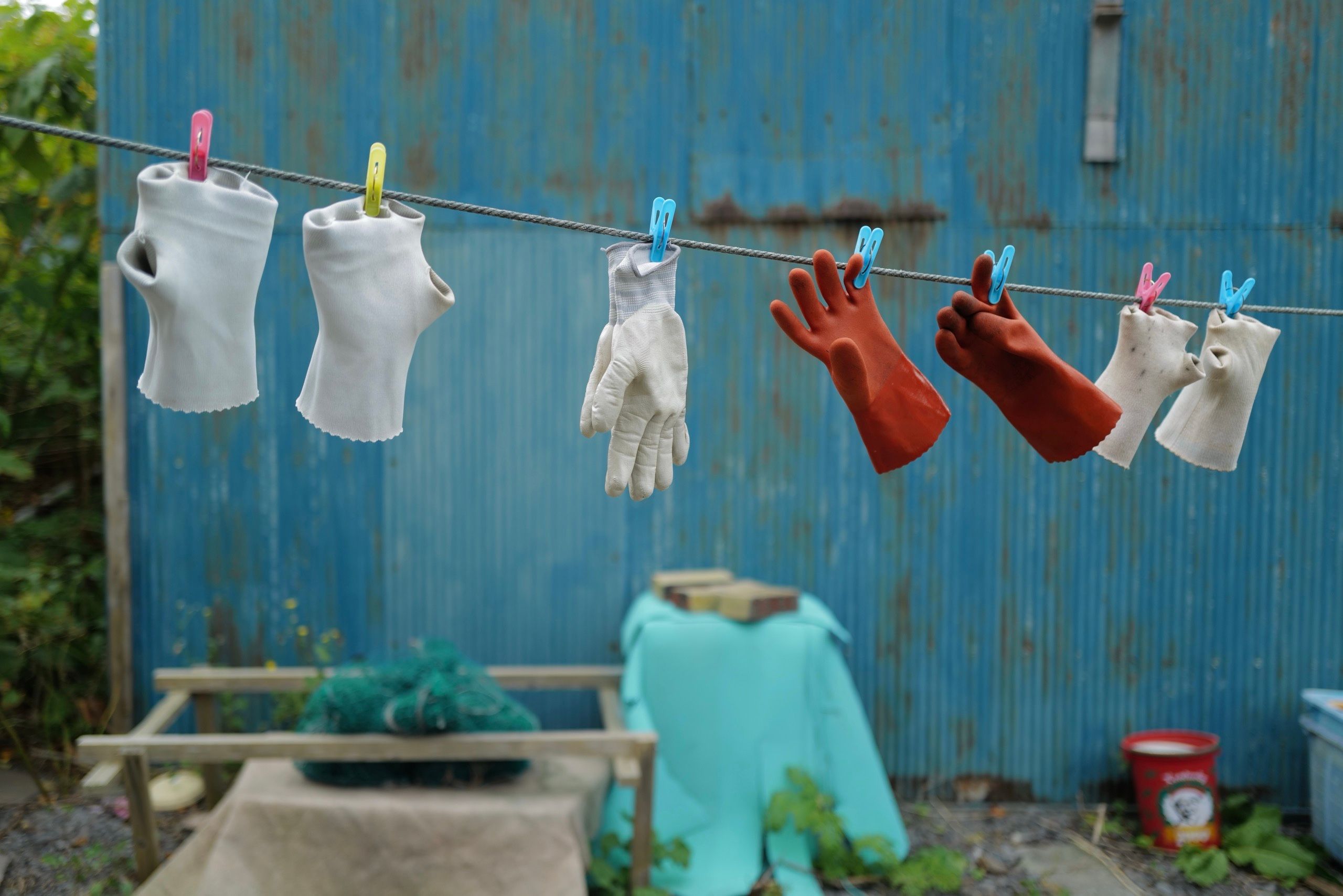 Fishing gloves, some white and two red, dry on a clothing line against a blue wall